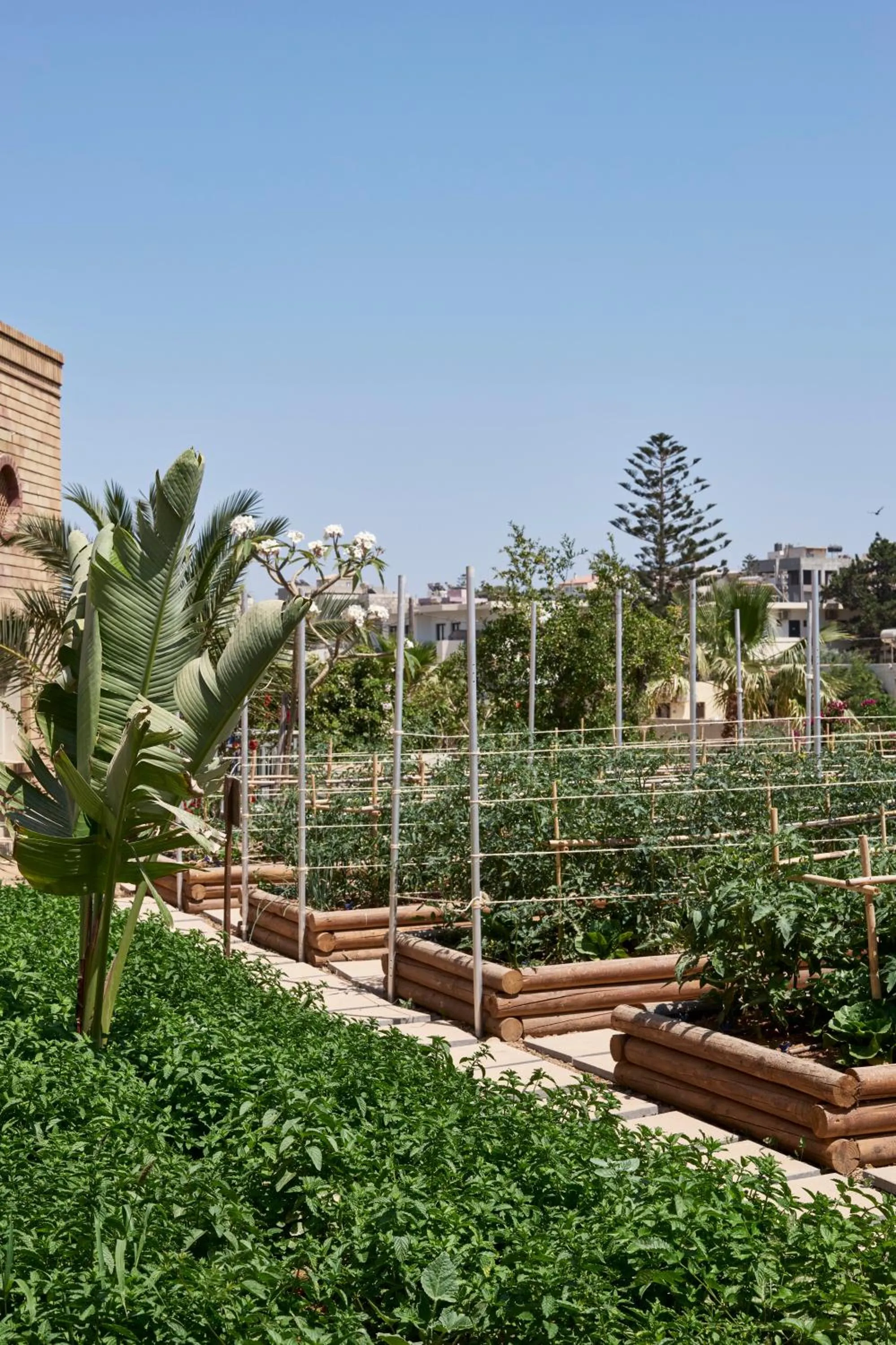 Summer in TUI Magic Life Candia Maris - Adults Only