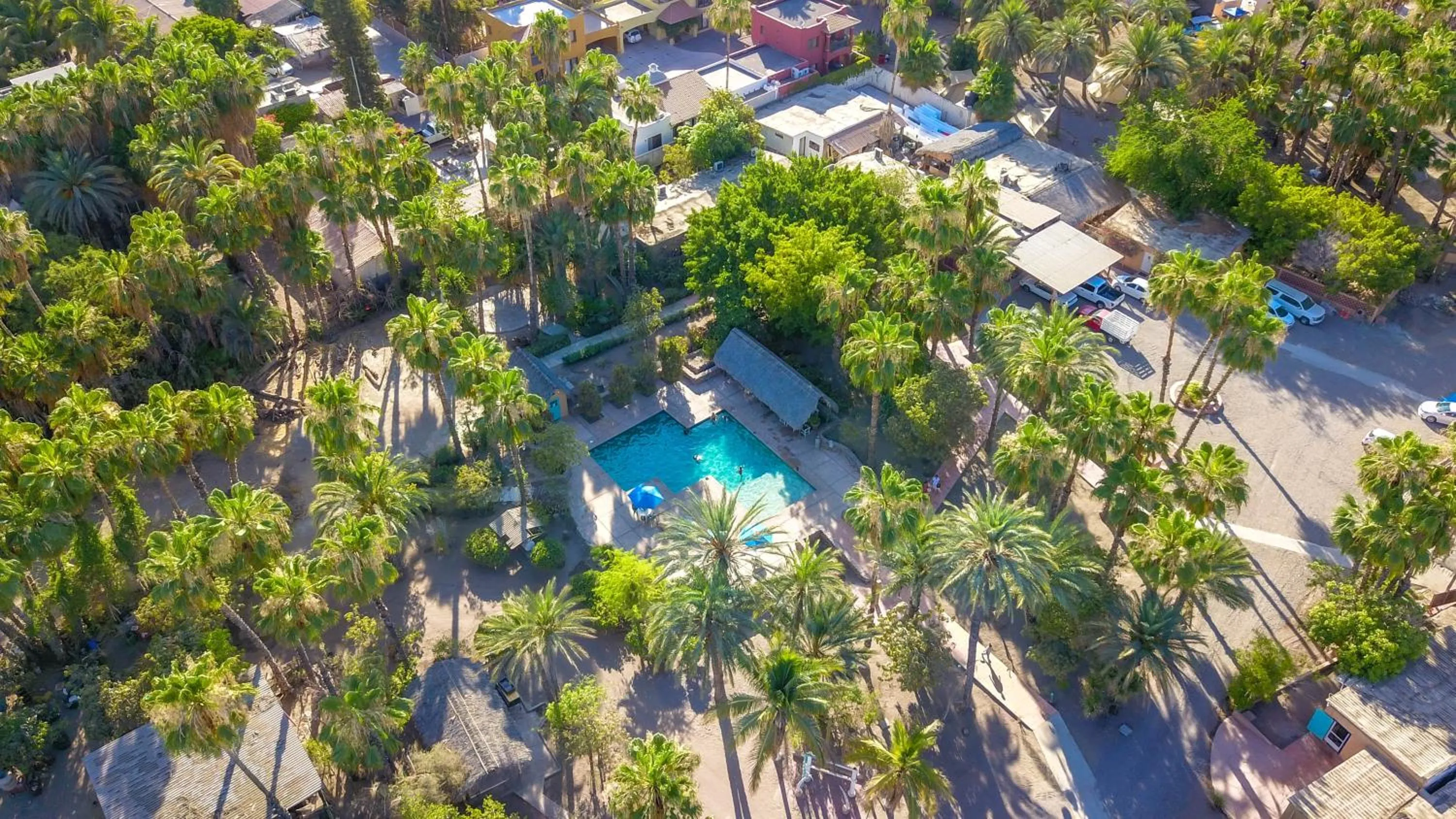 Swimming pool in Hotel Oasis