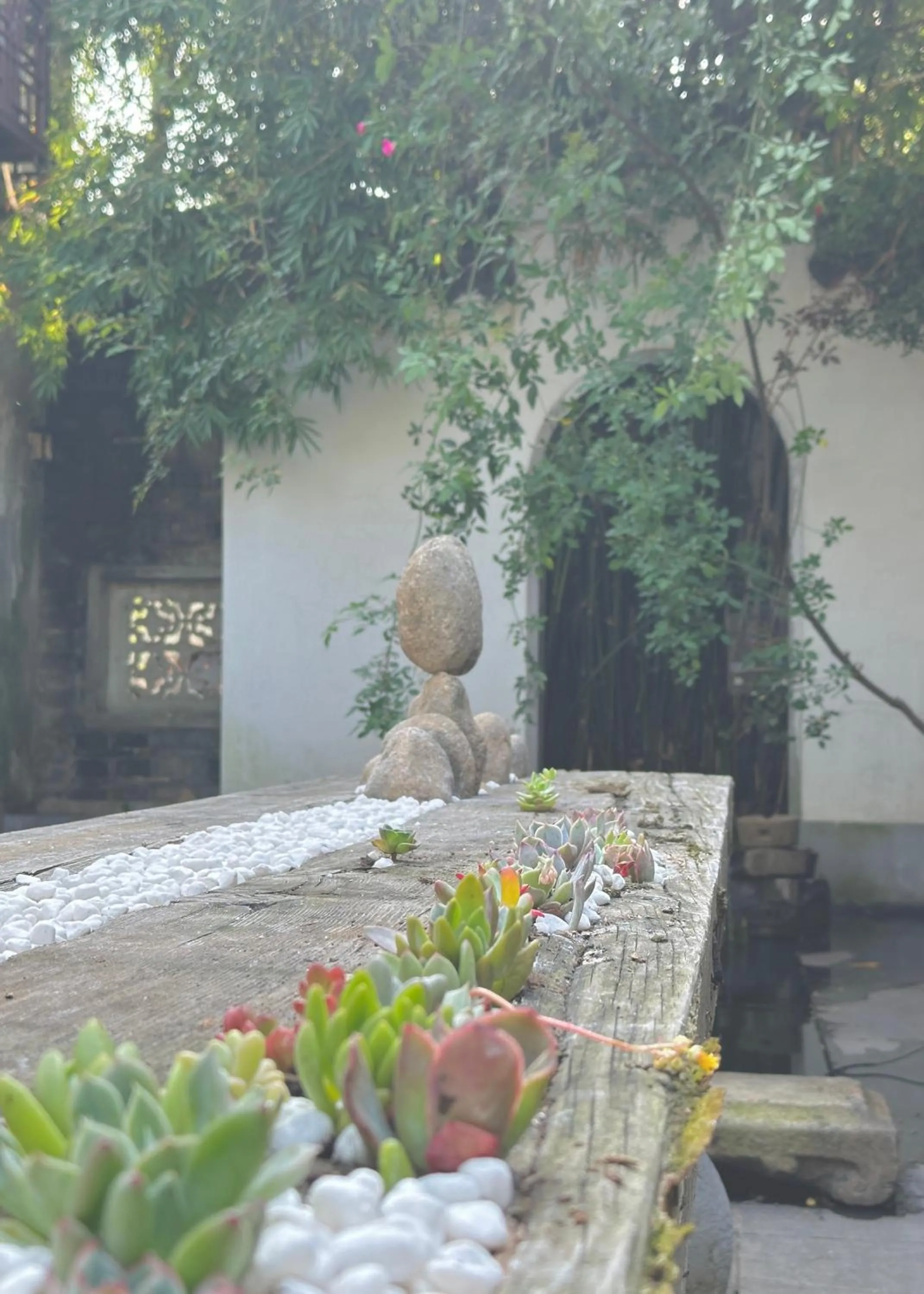 Garden in Mingtown Suzhou Youth Hostel