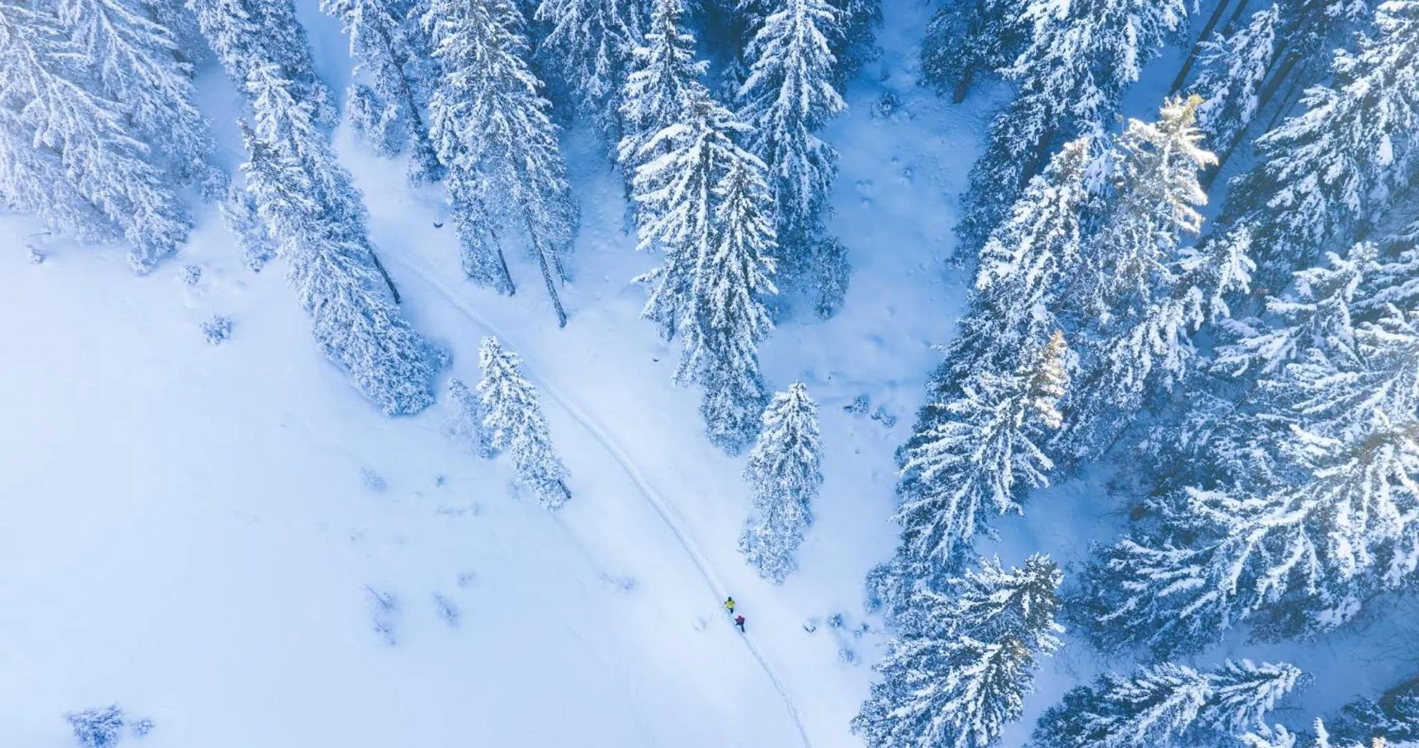 Forster's Naturresort