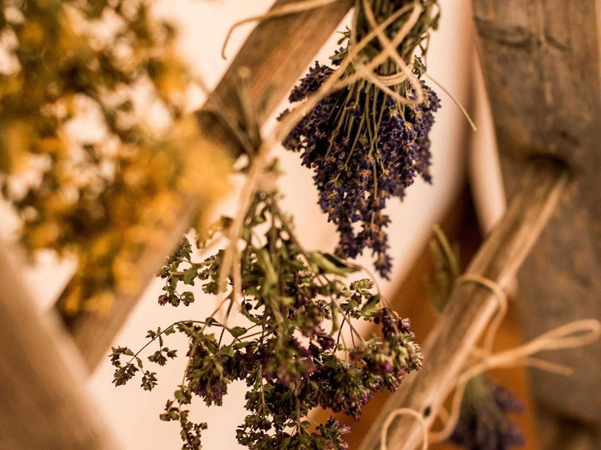 Food in Forster's Naturresort