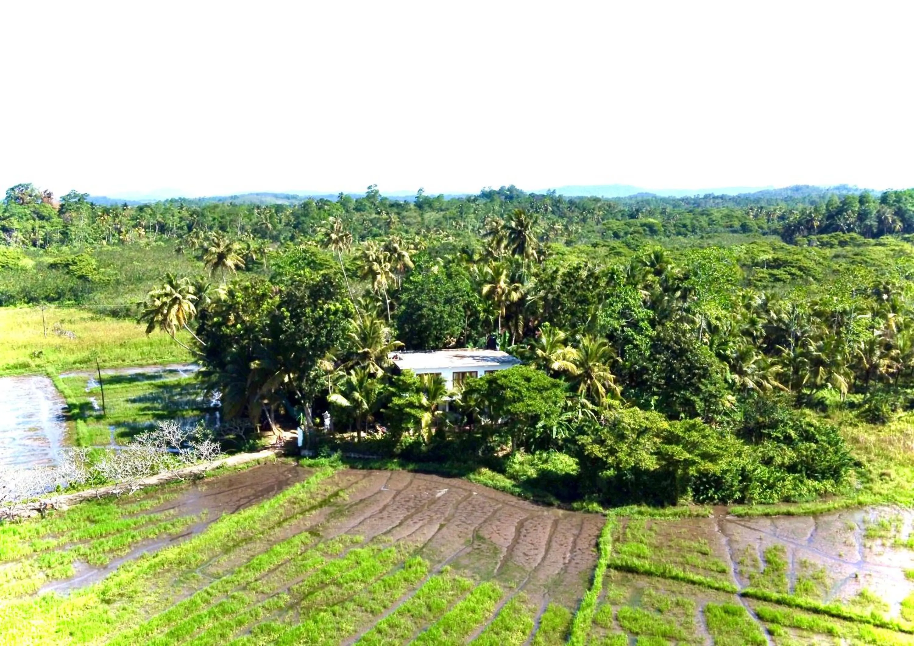 Property building in Field Island Villa - Ahangama