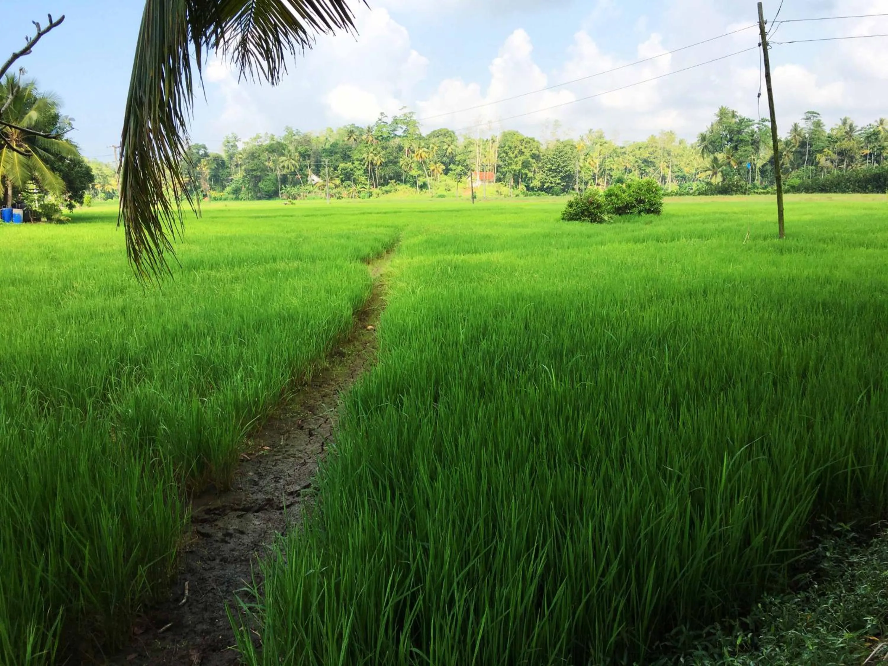 View (from property/room) in Field Island Villa - Ahangama