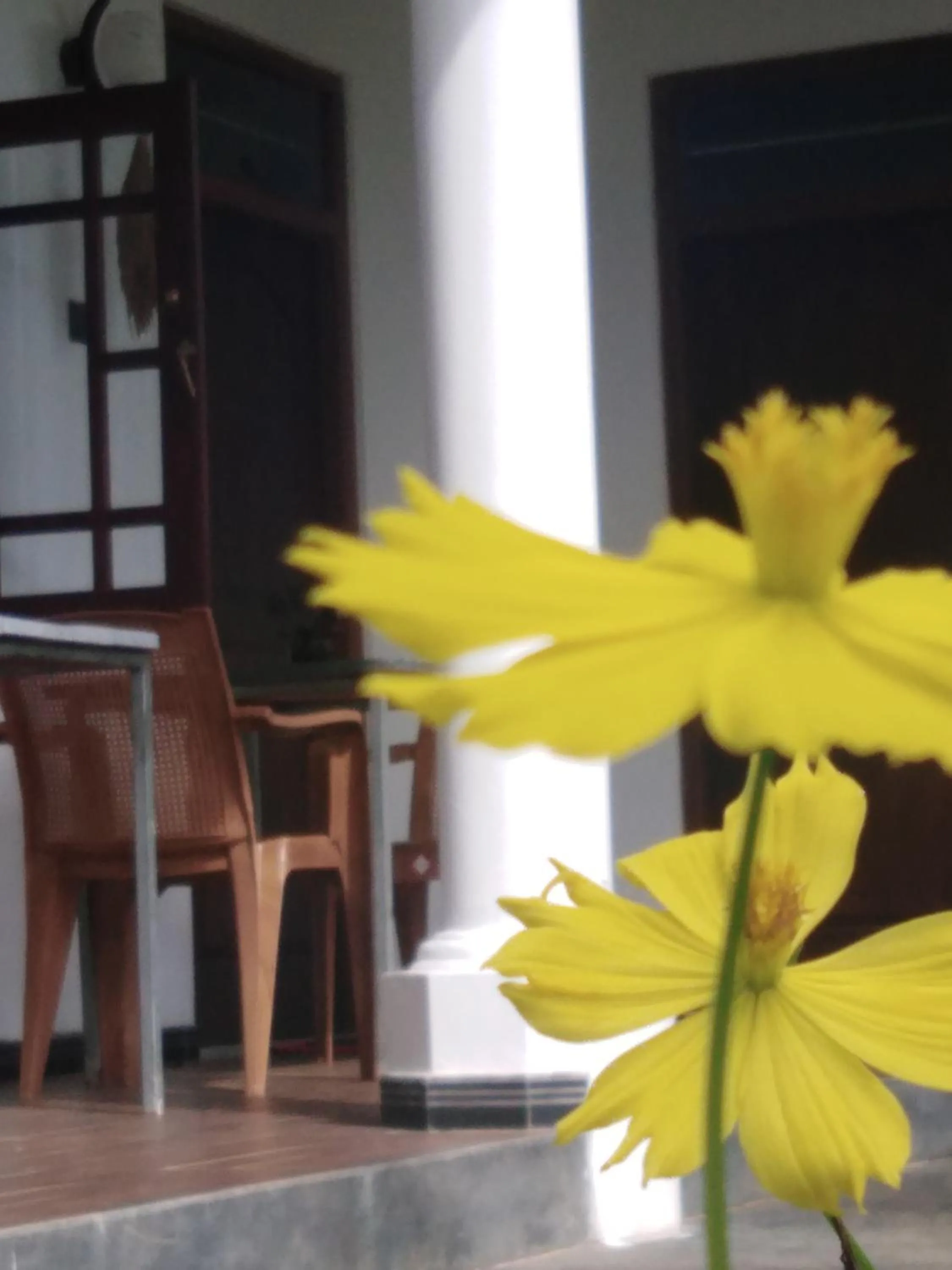 Facade/entrance in Field Island Villa - Ahangama