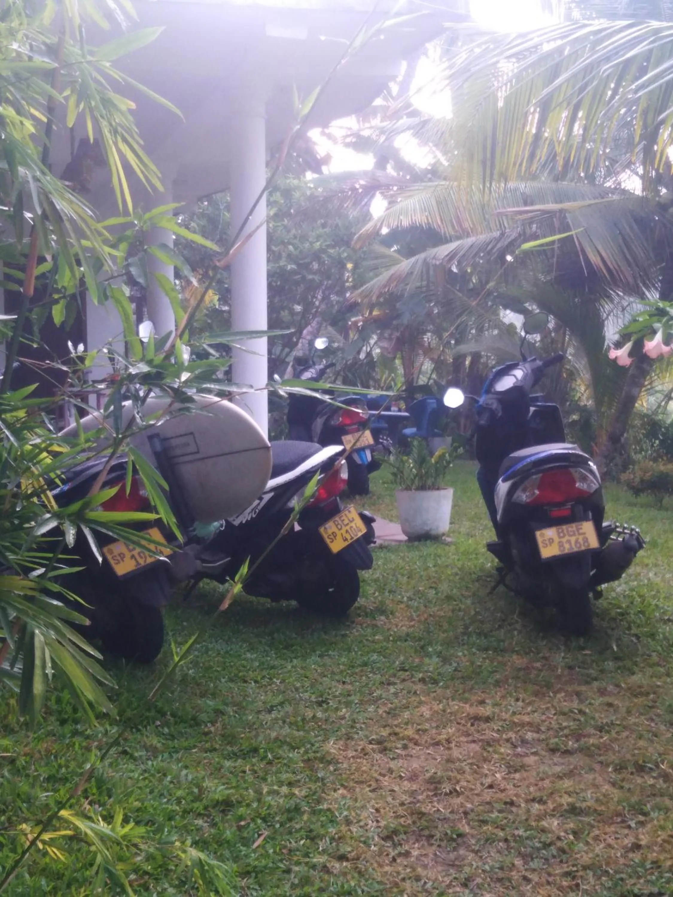 Garden in Field Island Villa - Ahangama