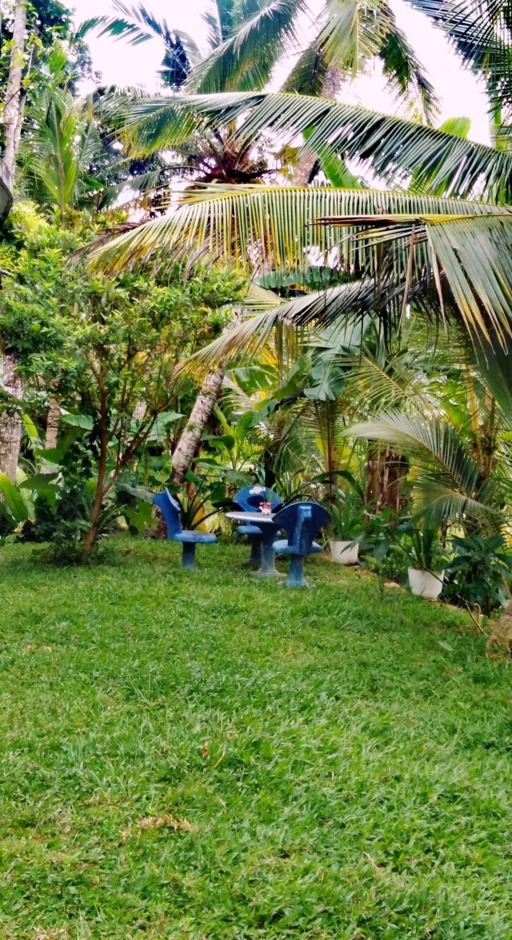 Garden in Field Island Villa - Ahangama