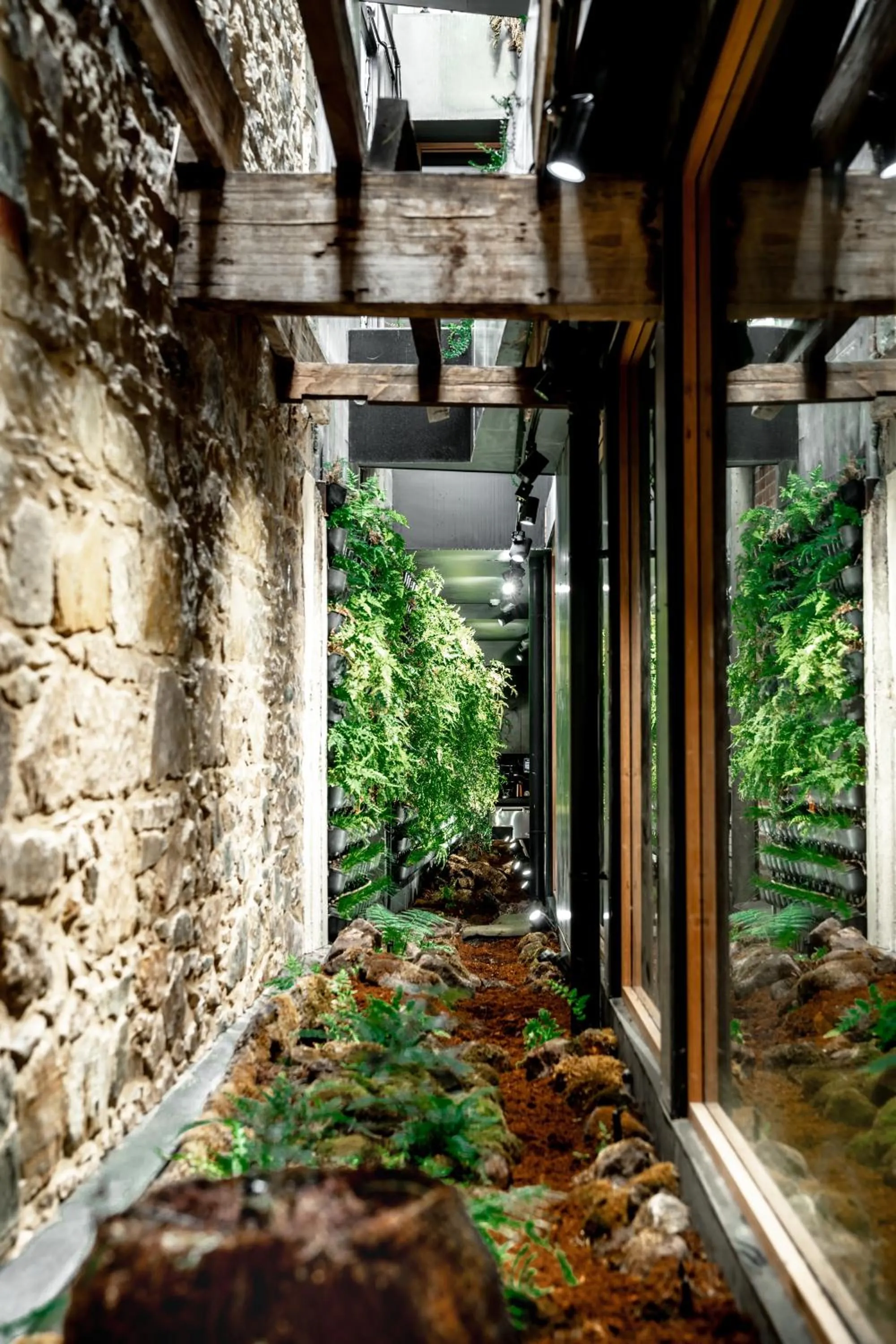 Garden view in Moss Hotel