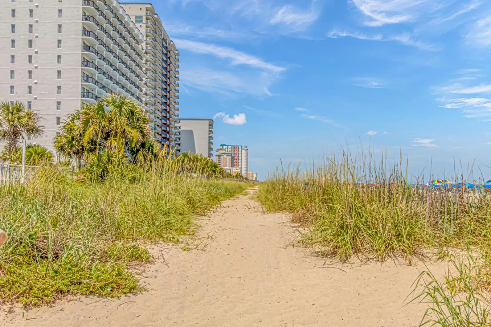 Natural landscape in Paradise 1408