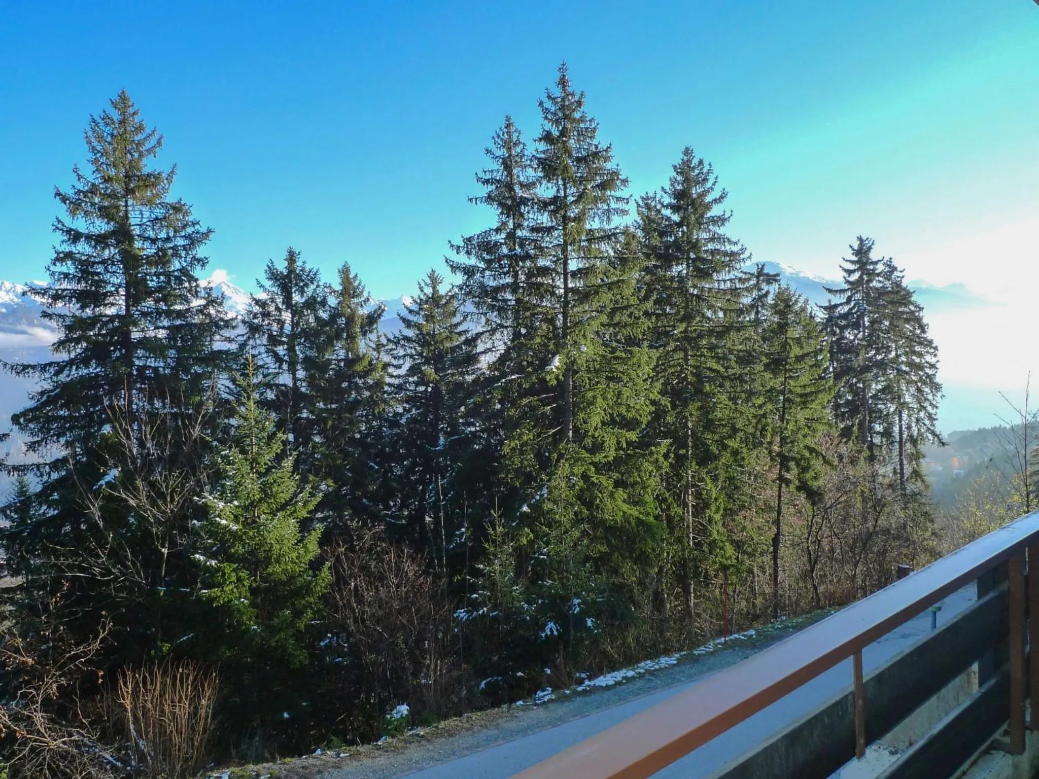 View (from property/room) in Apartment Yuca B Apt- 28 by Interhome