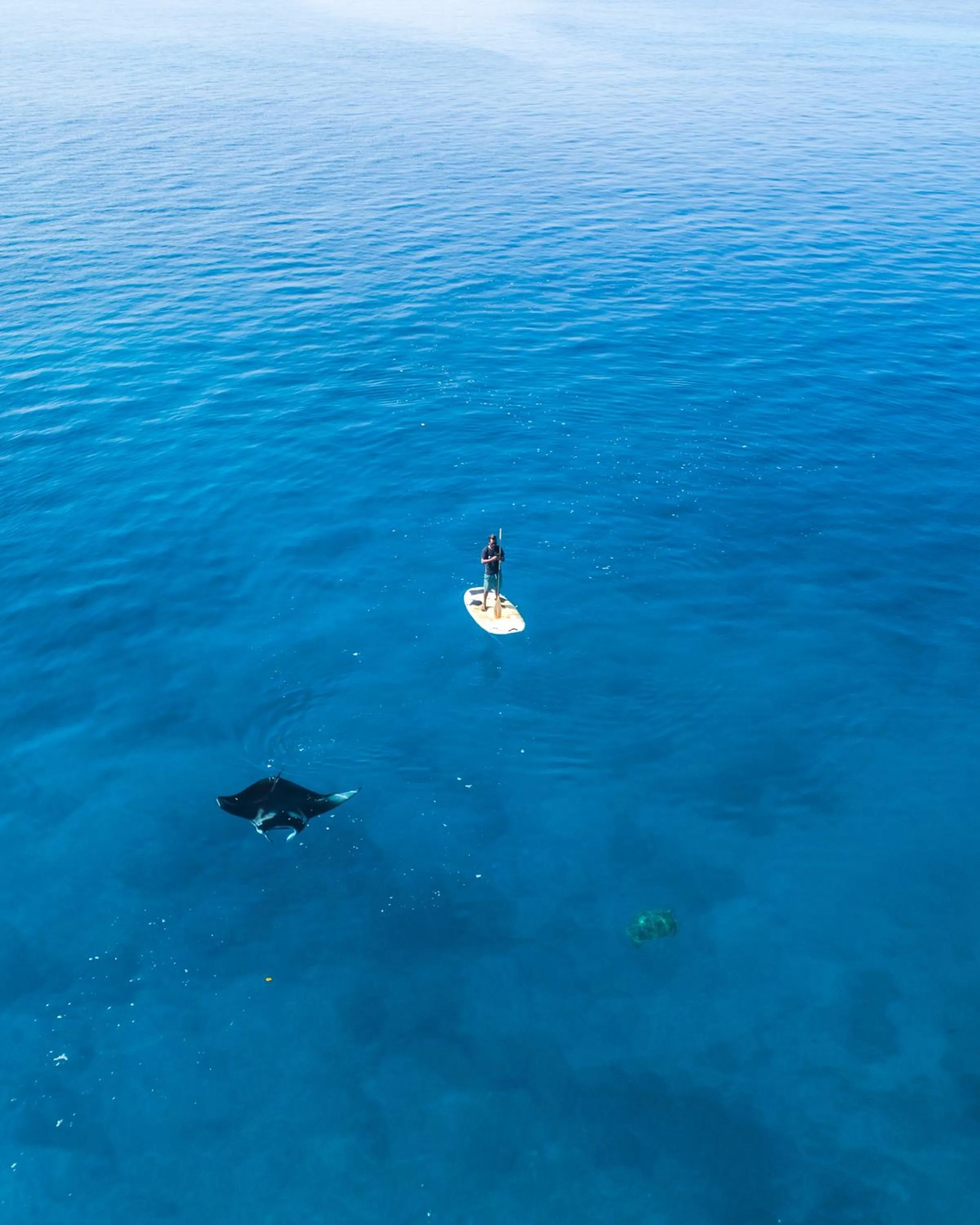 Activities in Club Gabbiano