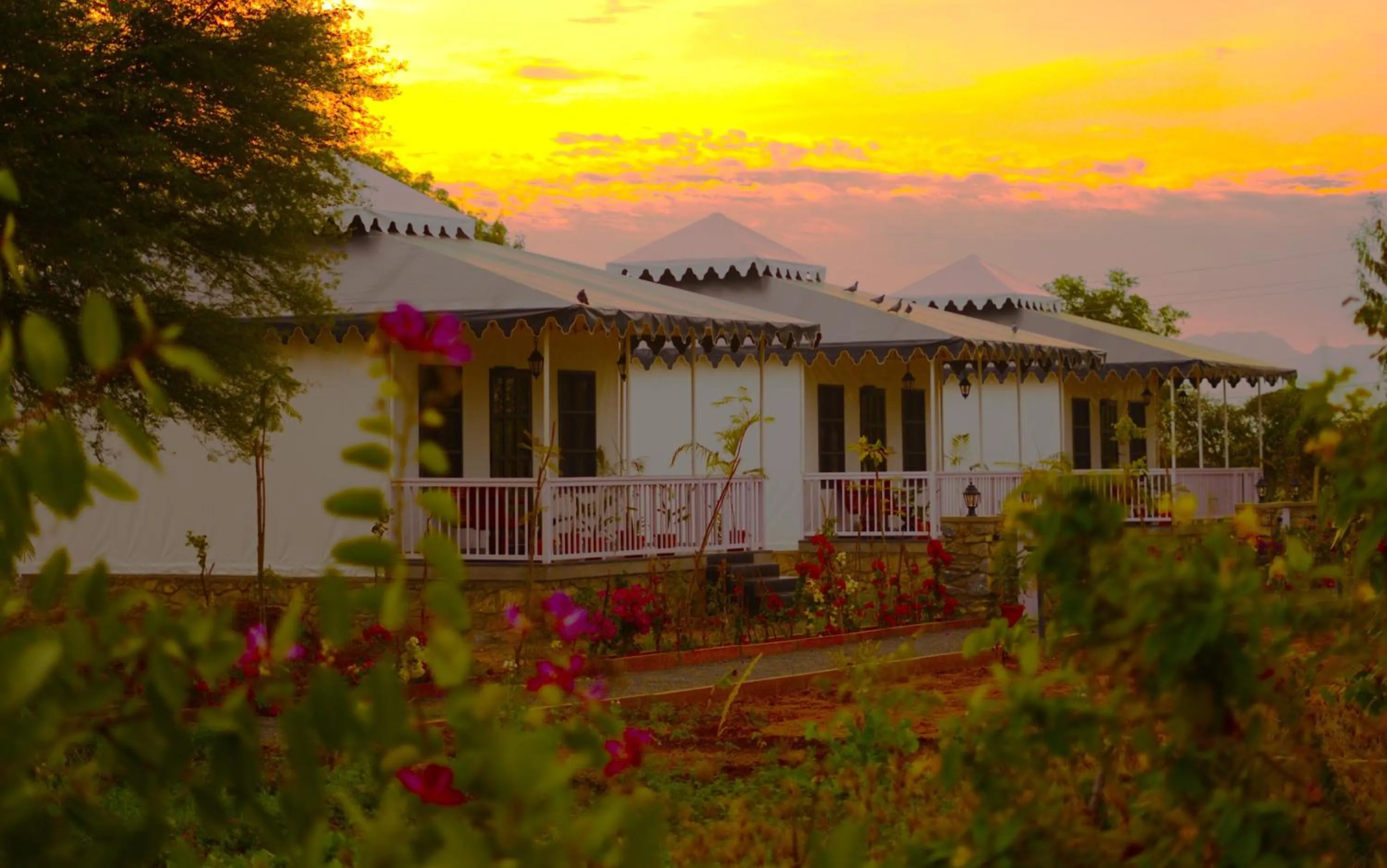 Tent in Jawai Greens