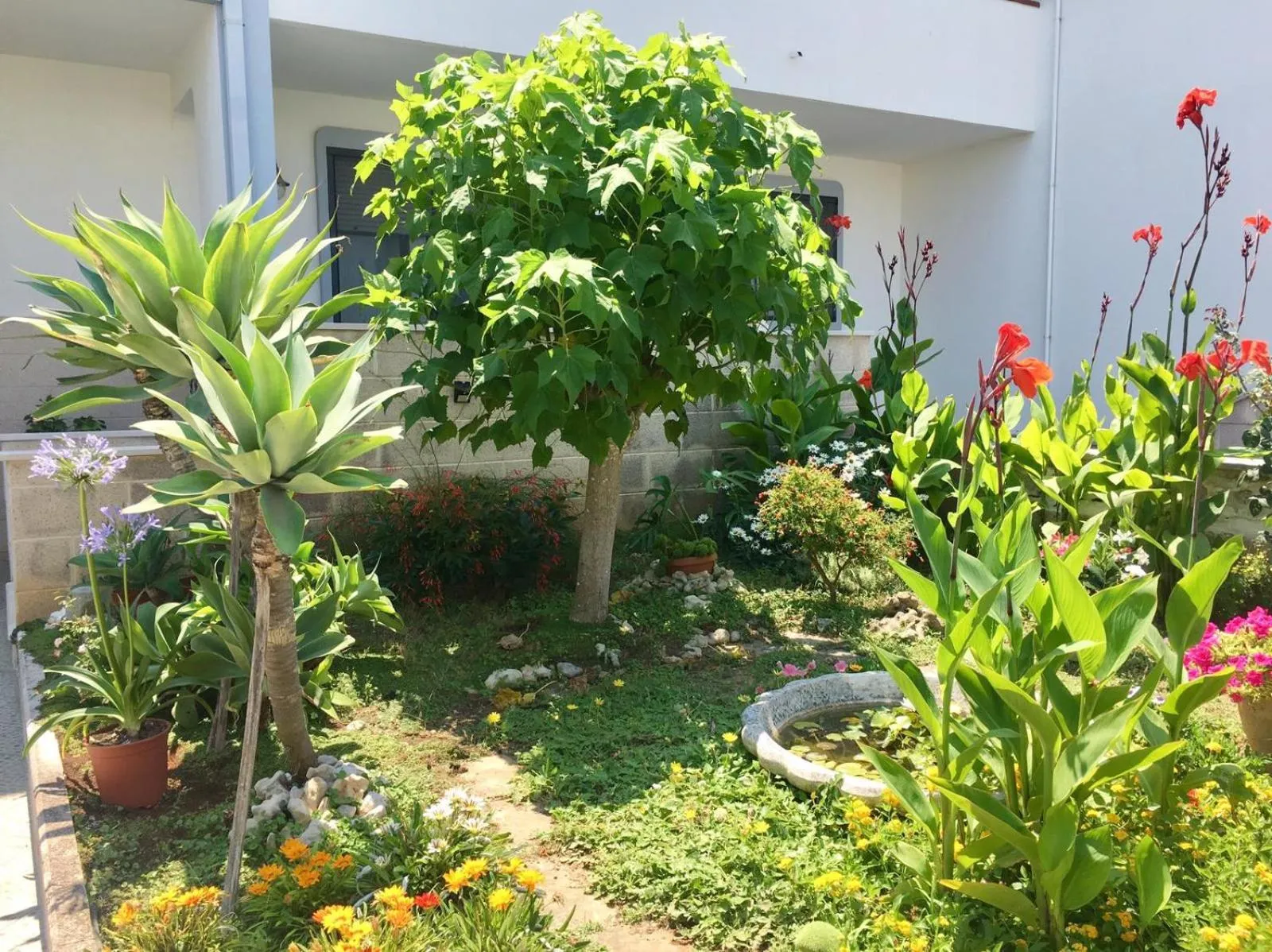 Facade/entrance in B&B Rocamatura - Adults only