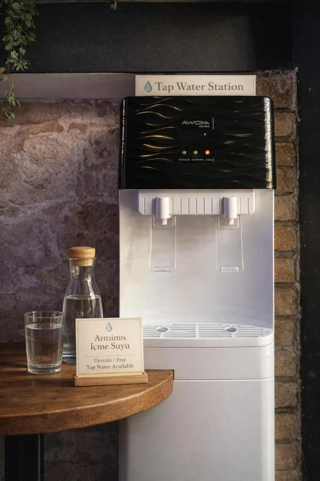 Drinks in Kuyu Beergarden Hostel