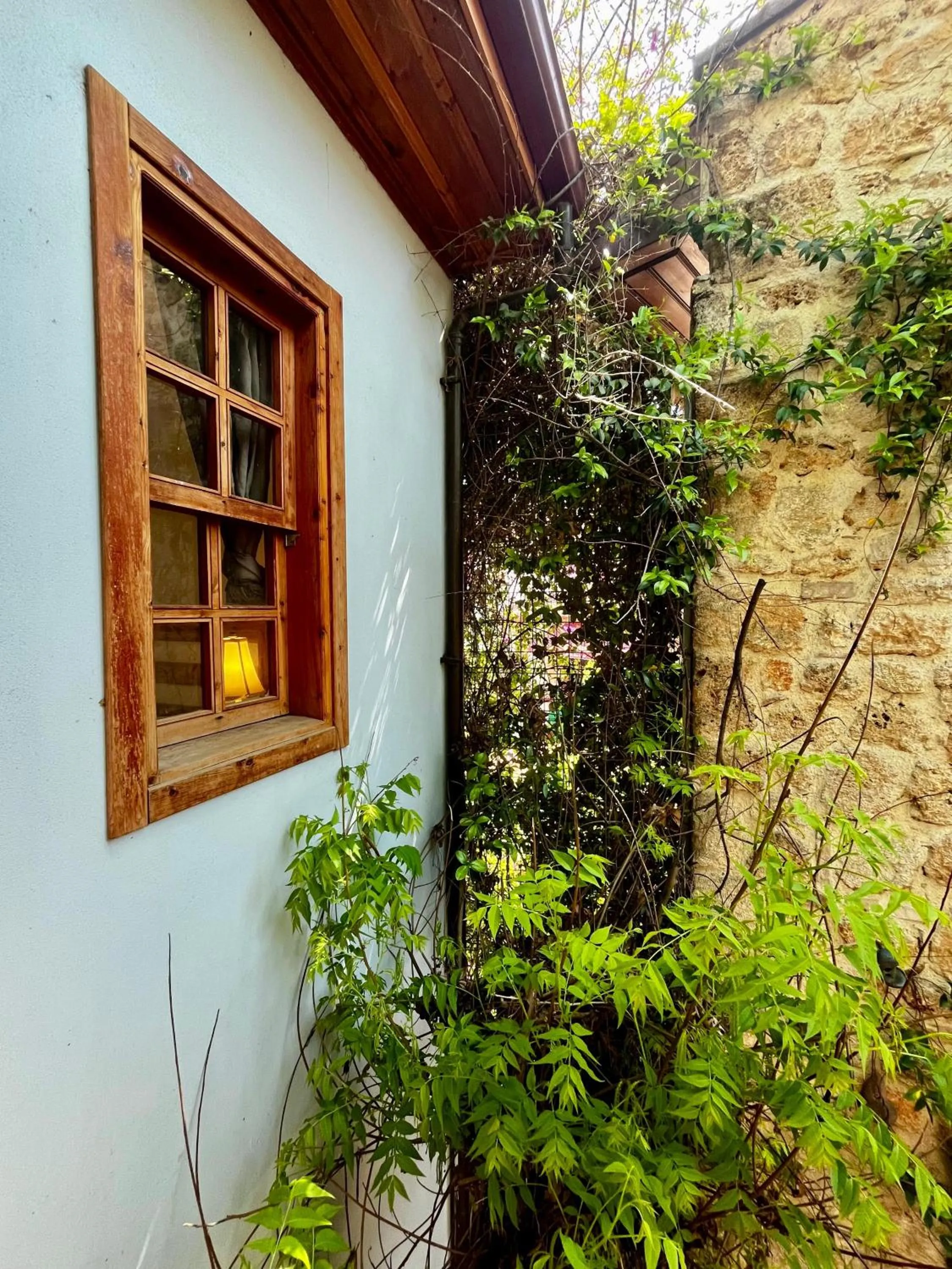 Spring in Kuyu Beergarden Hostel