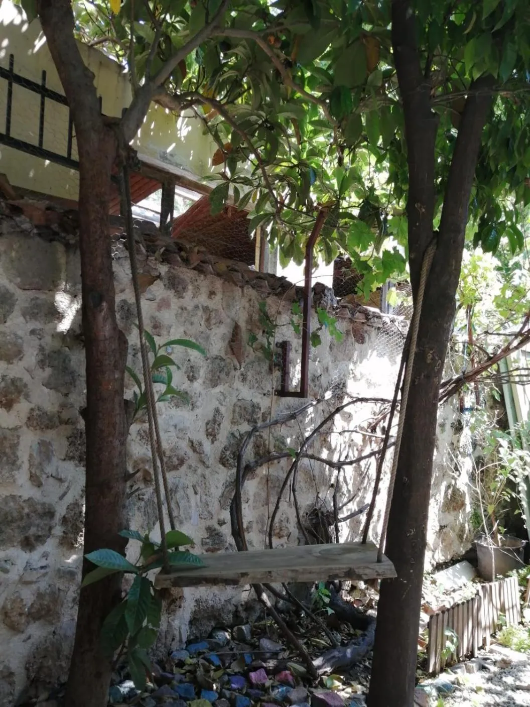 Garden in Kuyu Beergarden Hostel