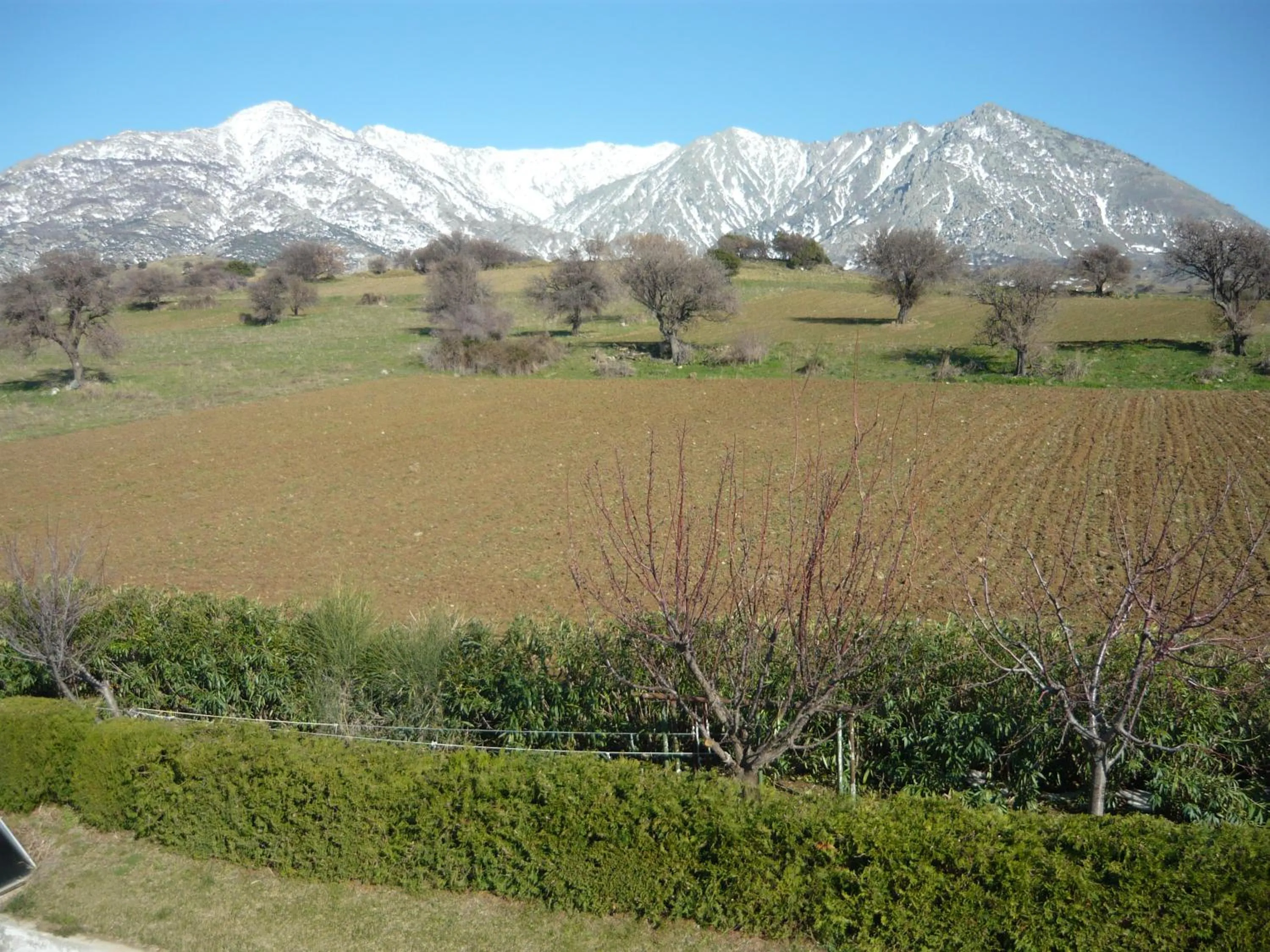 Victory Apartments Hotel