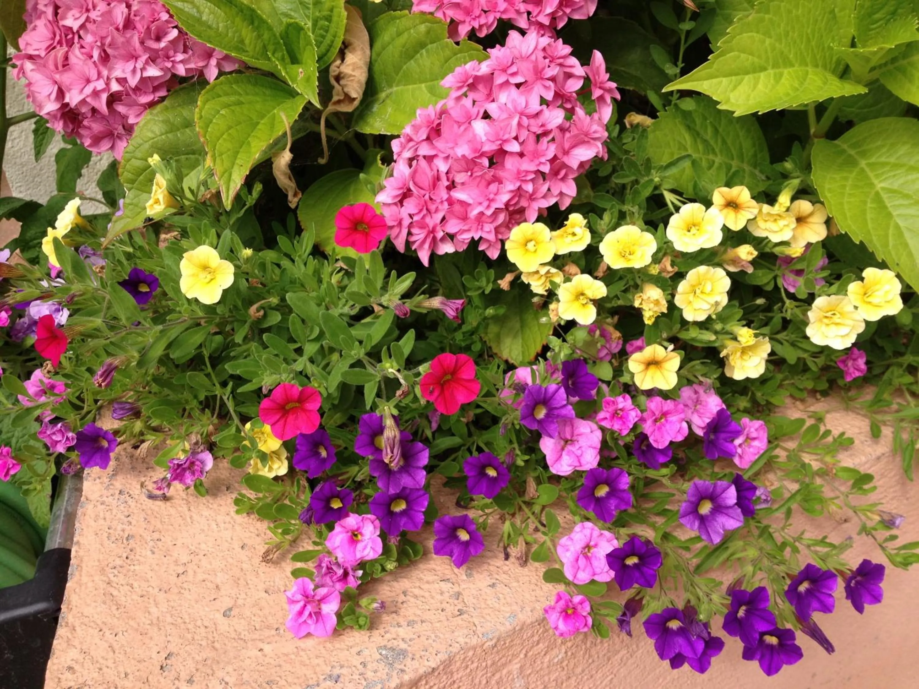 Garden in Auberge Du Parc