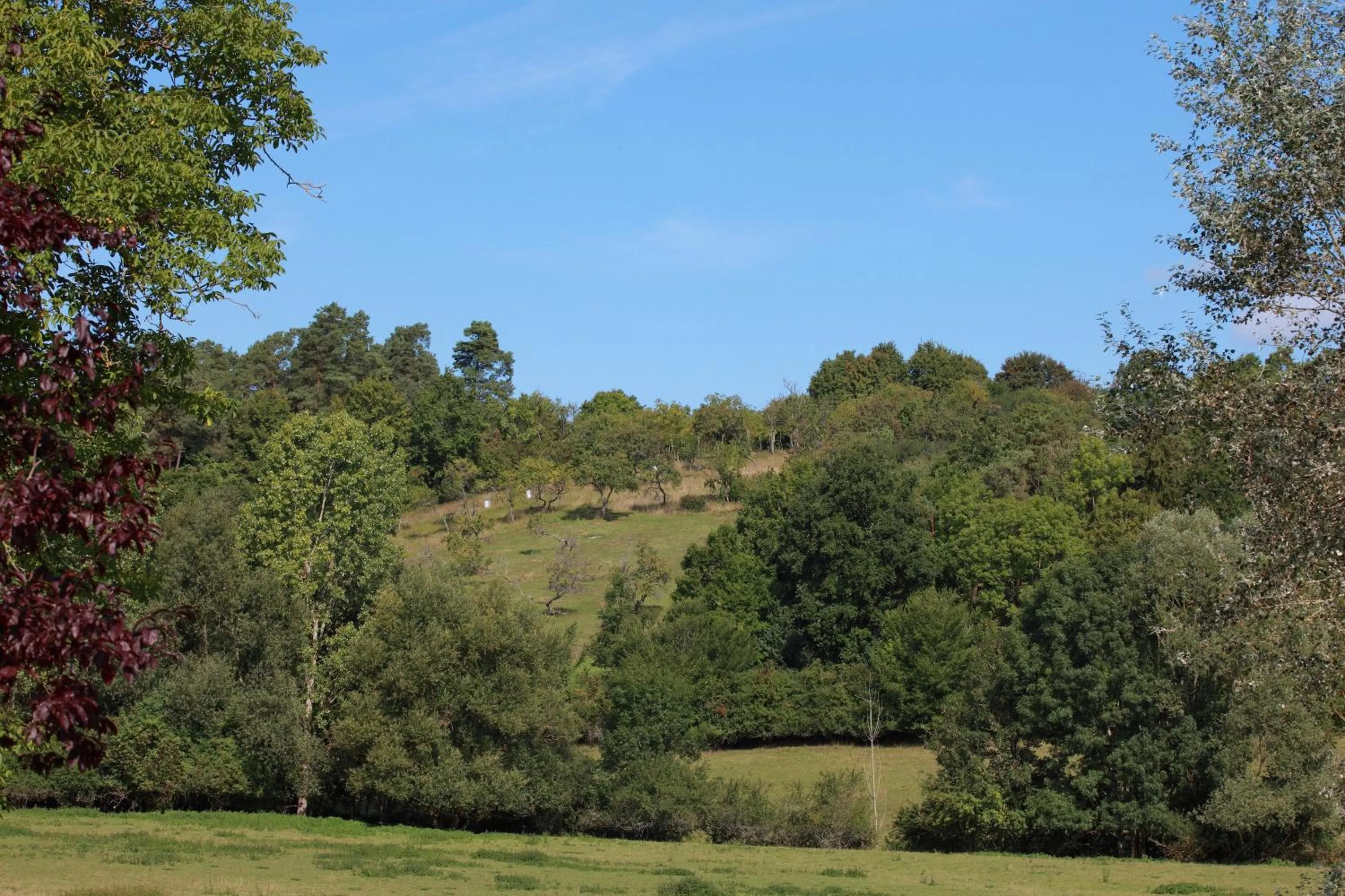 Summer in Auberge Du Parc
