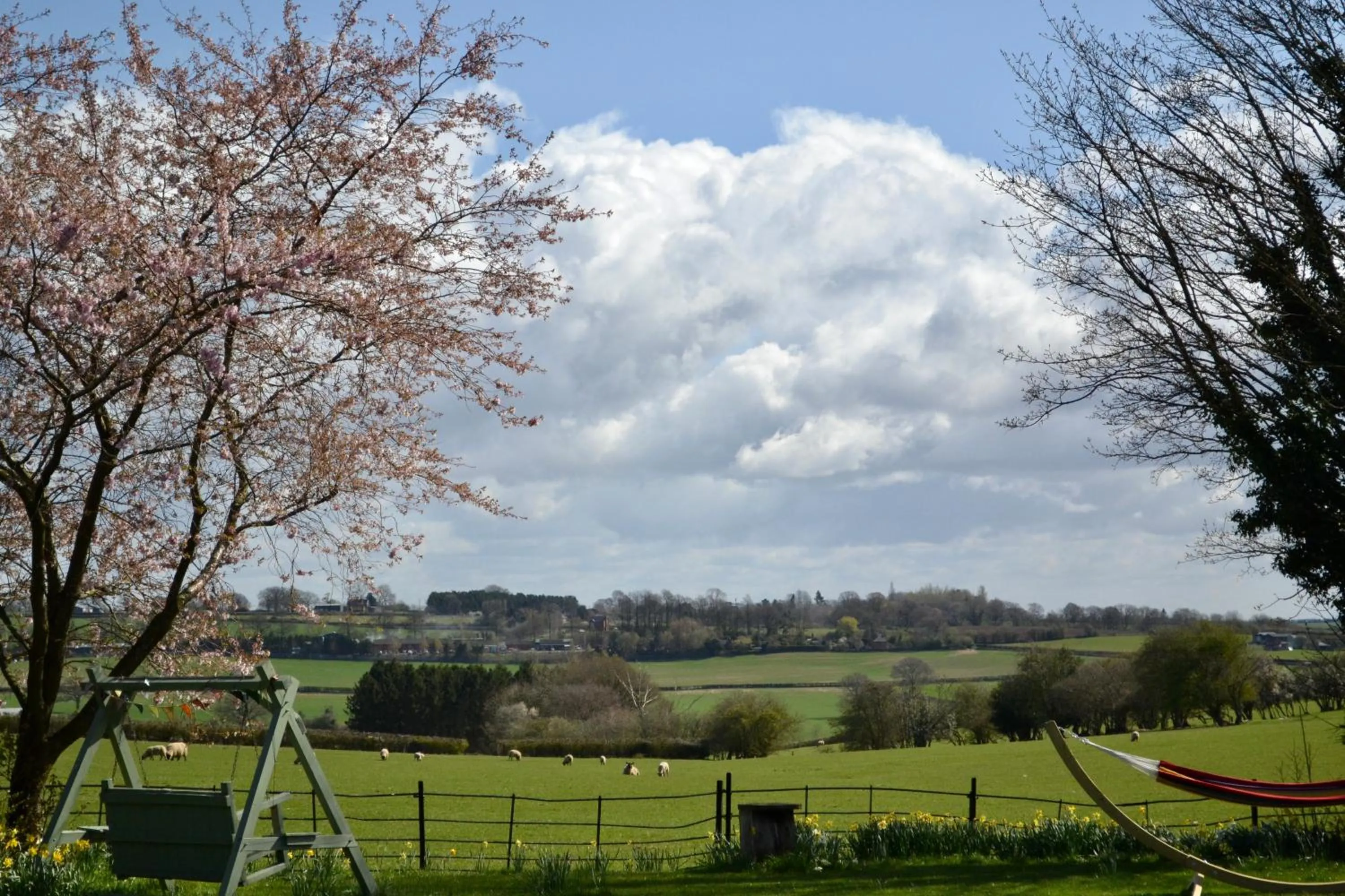 Garden view in Broome Park Farm B&B