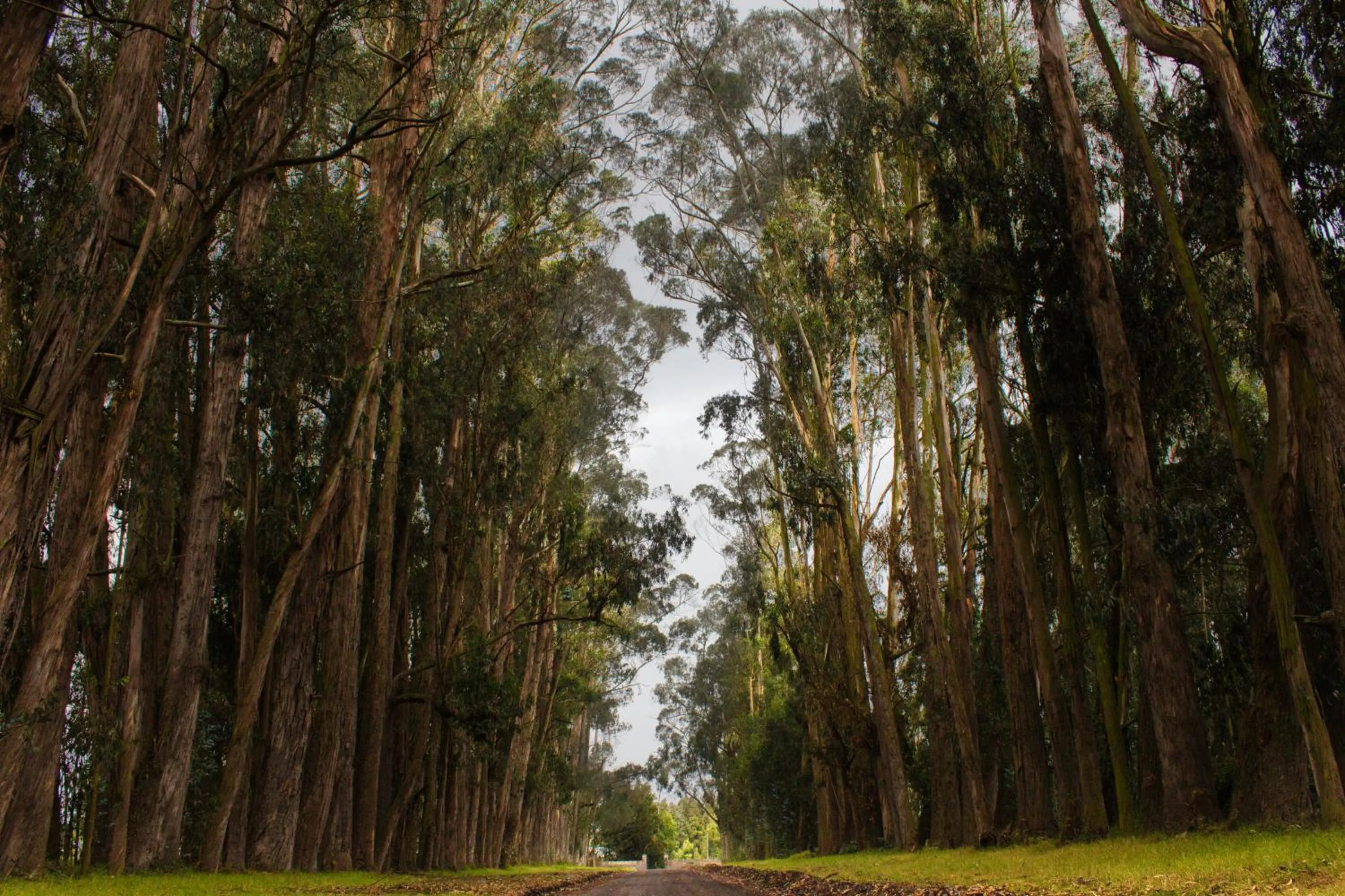 Area and facilities in Hacienda La Cienega
