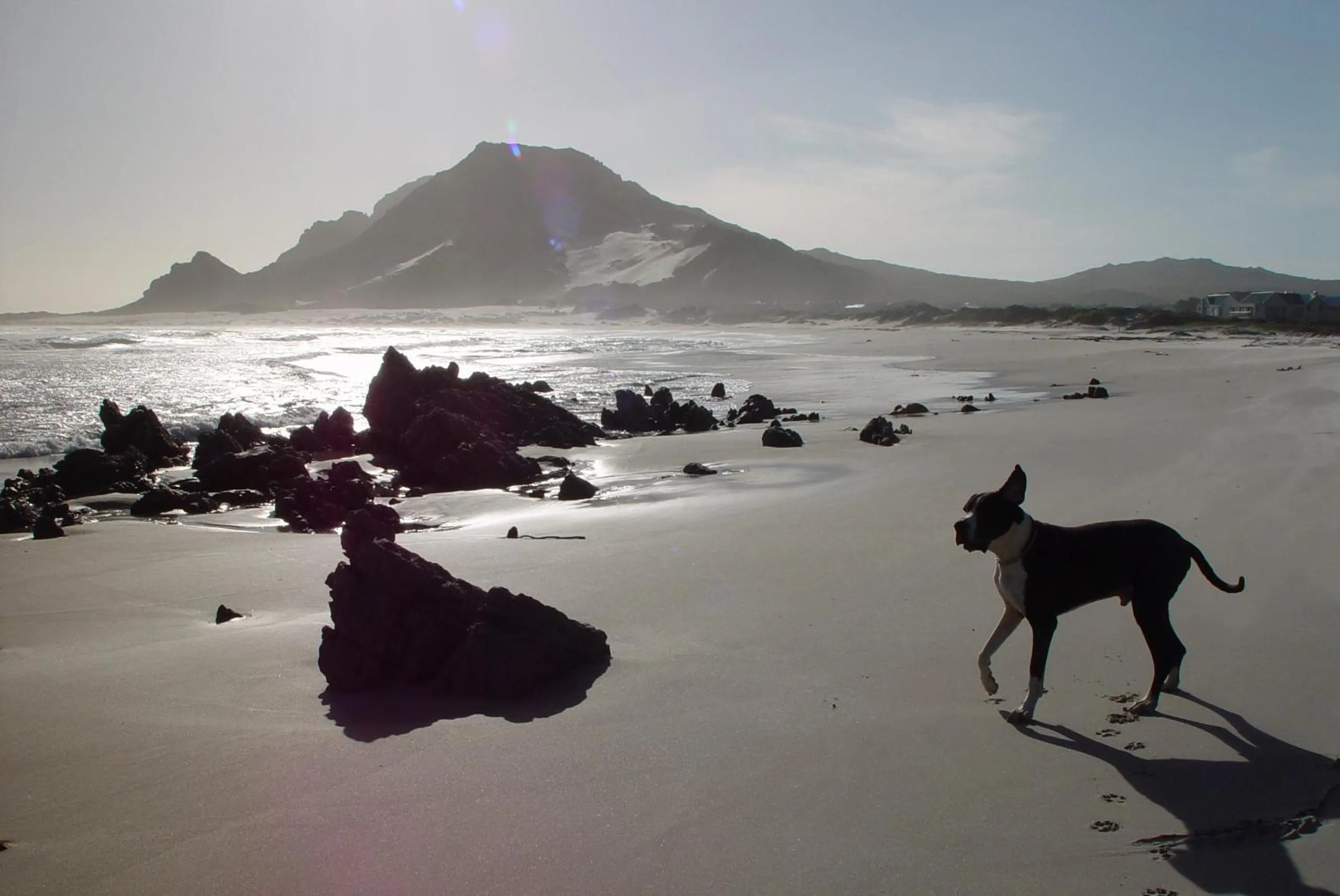 Beach in Jack's Seaview