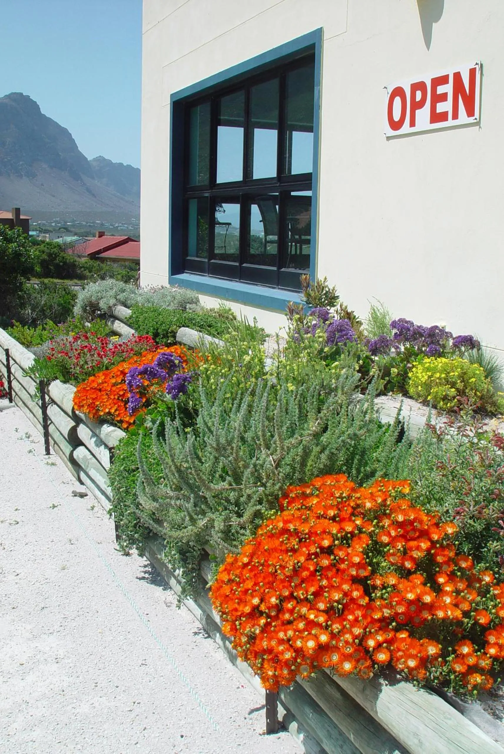 Facade/entrance in Jack's Seaview