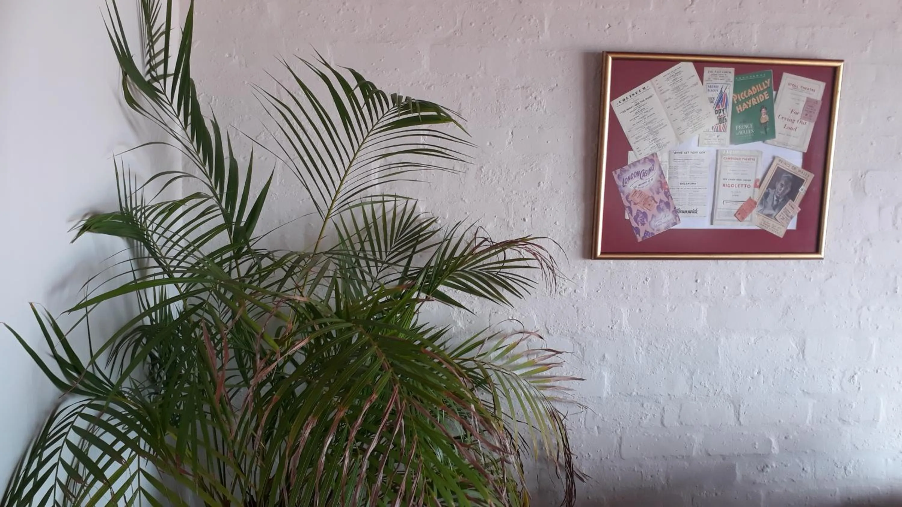 Property building in Jack's Seaview