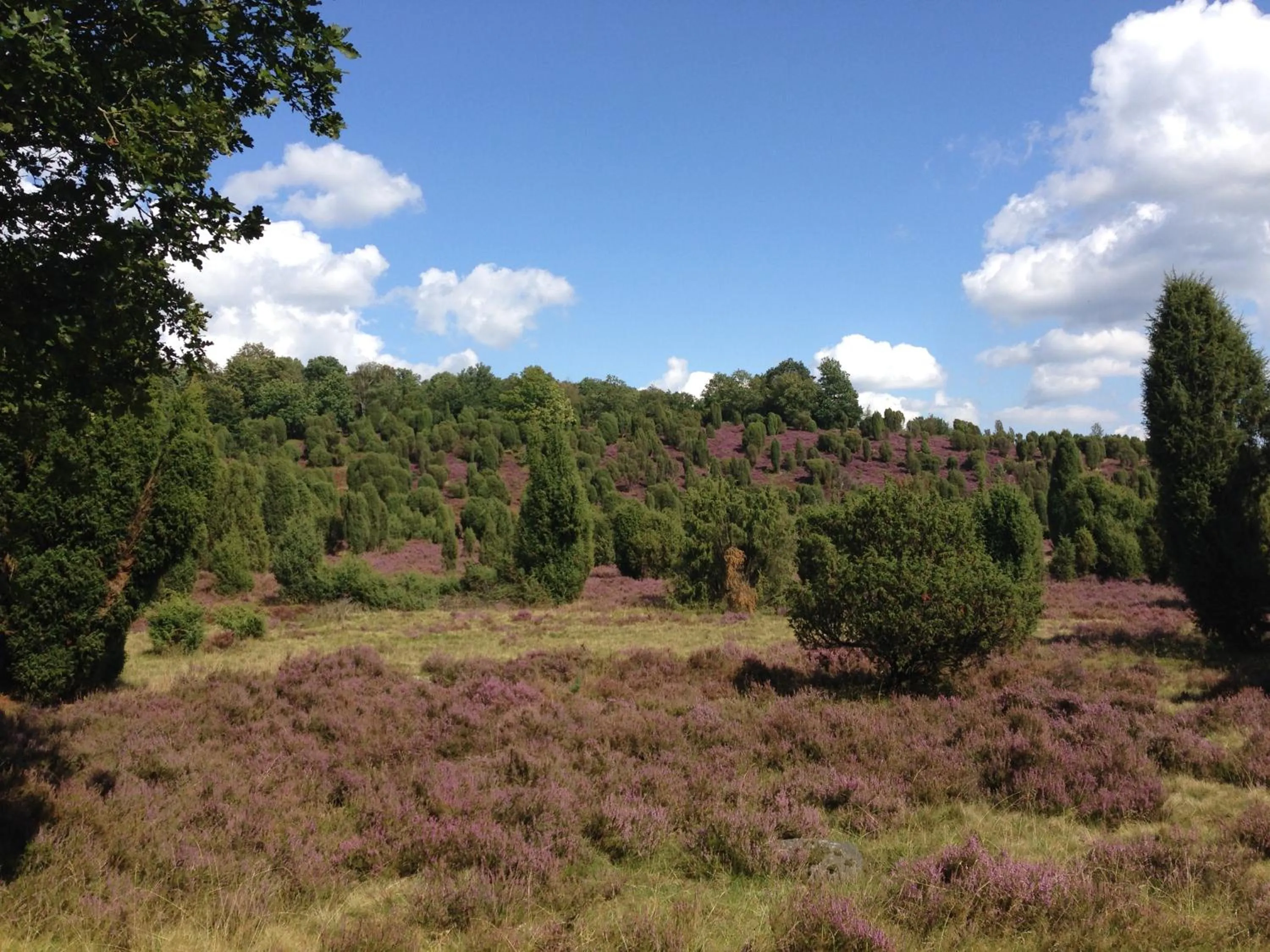 Horse-riding in Neumanns Waldschänke
