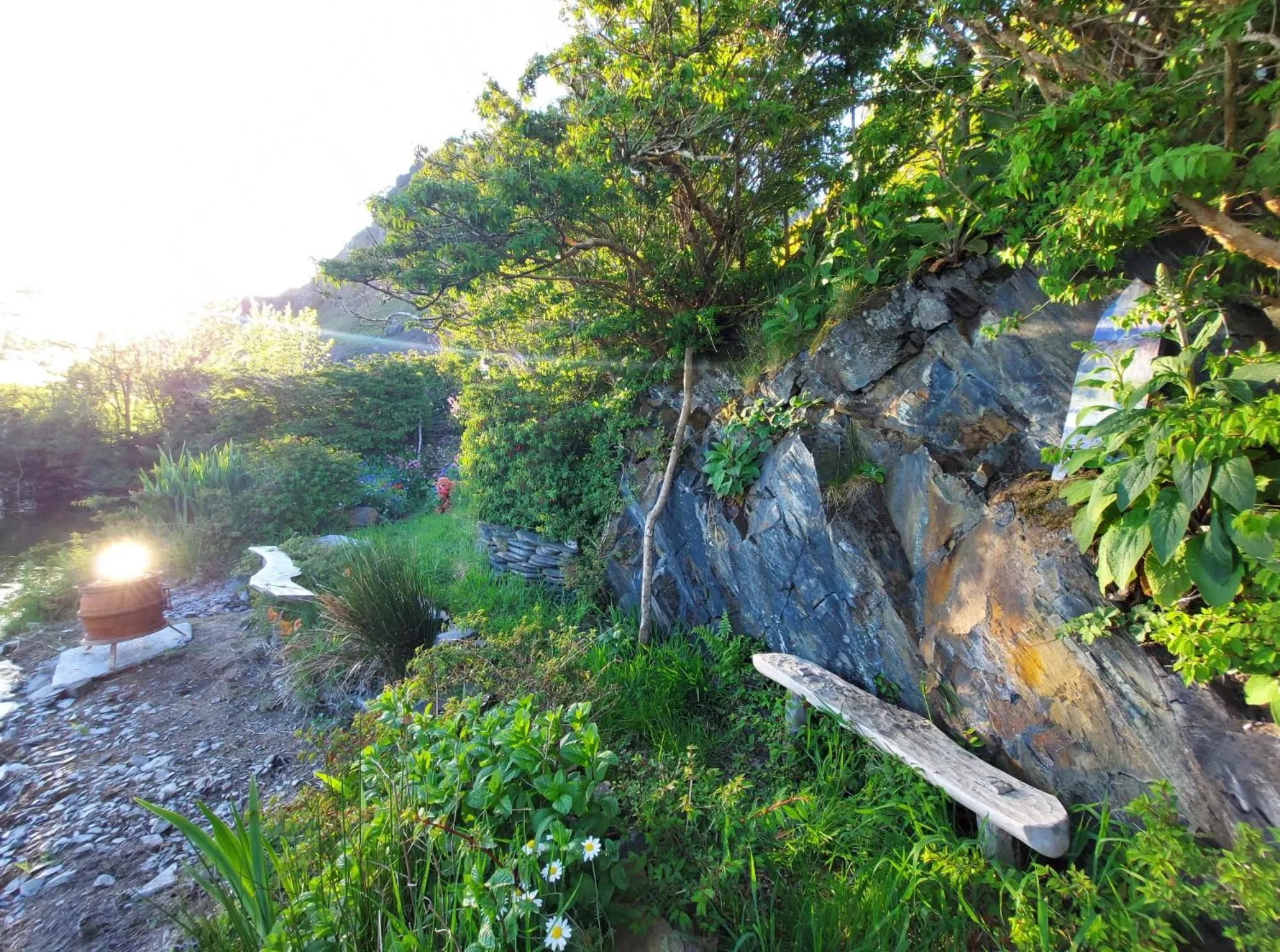 Spring in Garragh Mhor