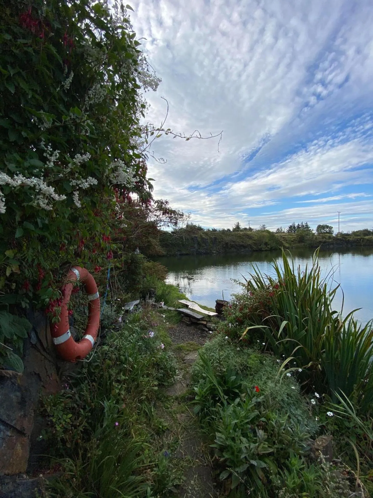 Spring in Garragh Mhor