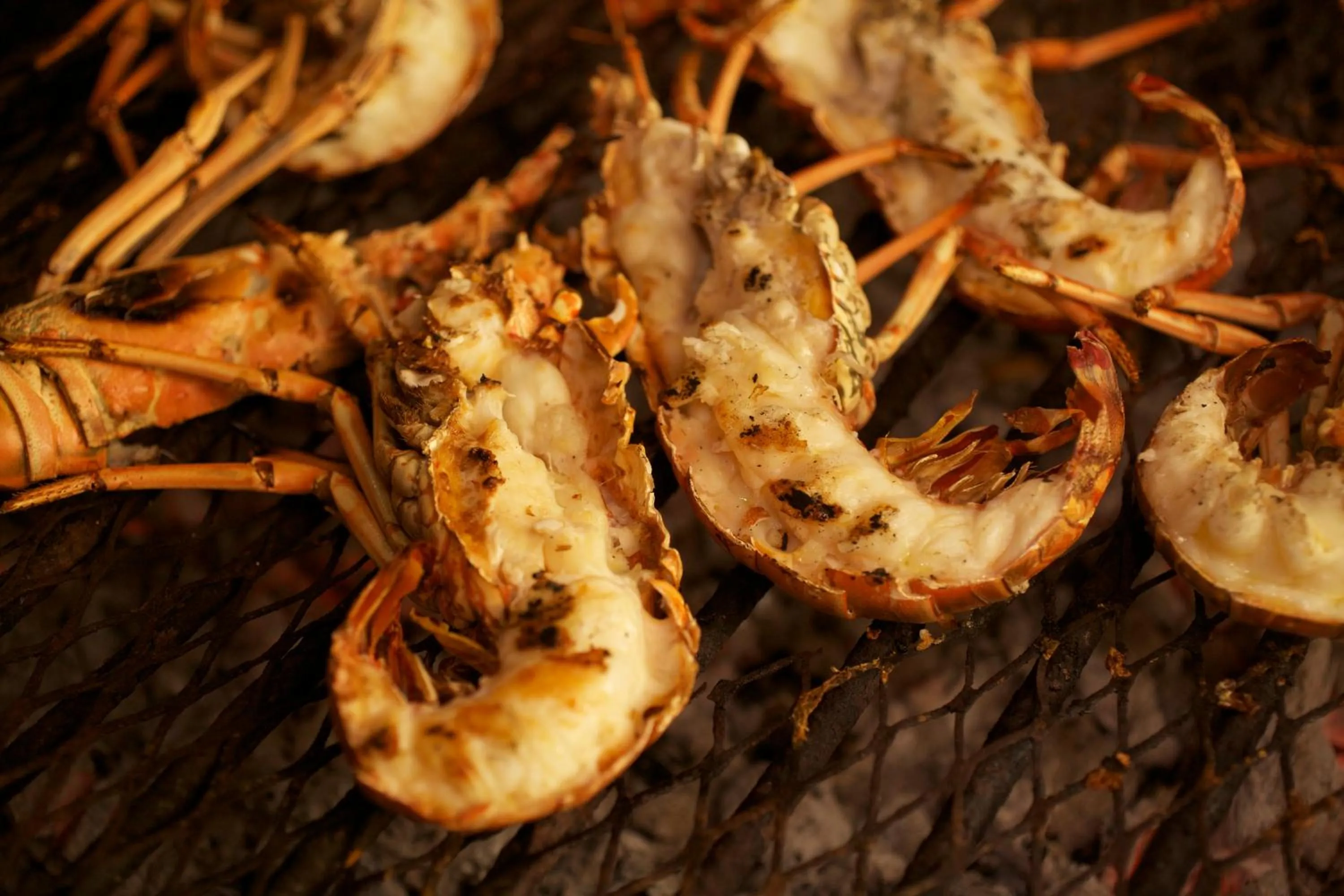 Food and drinks in Da Fabio