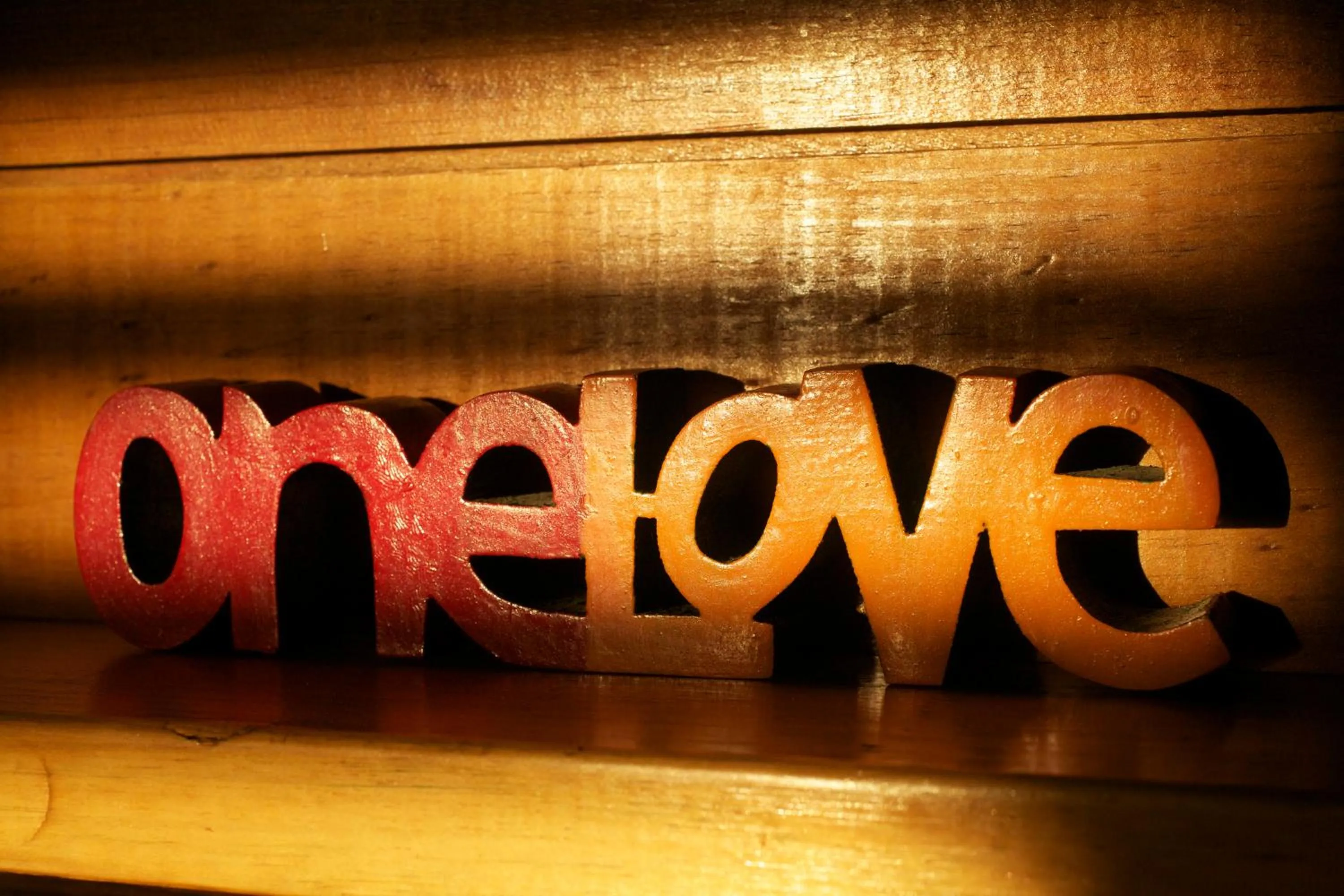 Logo/Certificate/Sign in Da Fabio