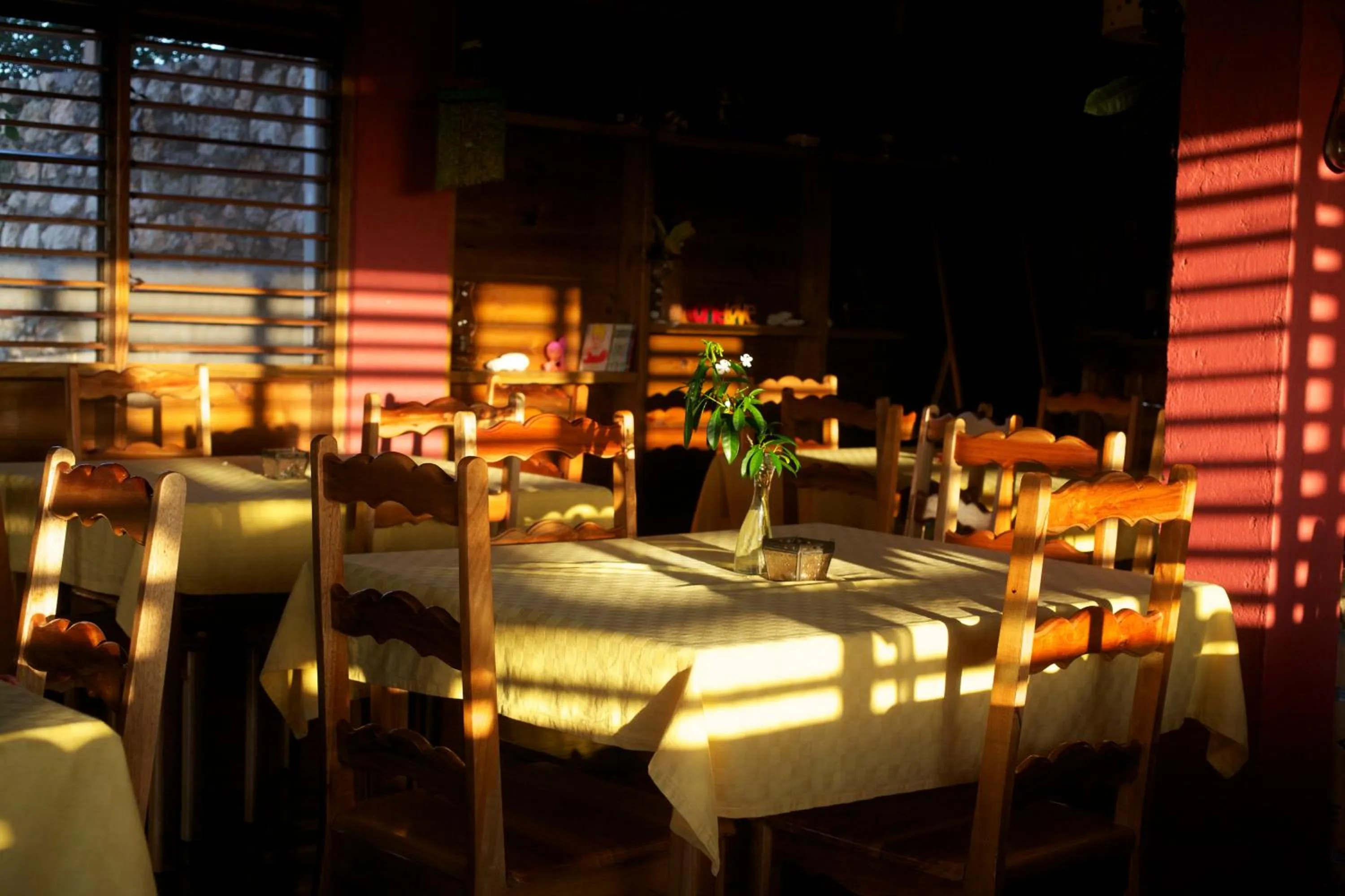 Food and drinks in Da Fabio