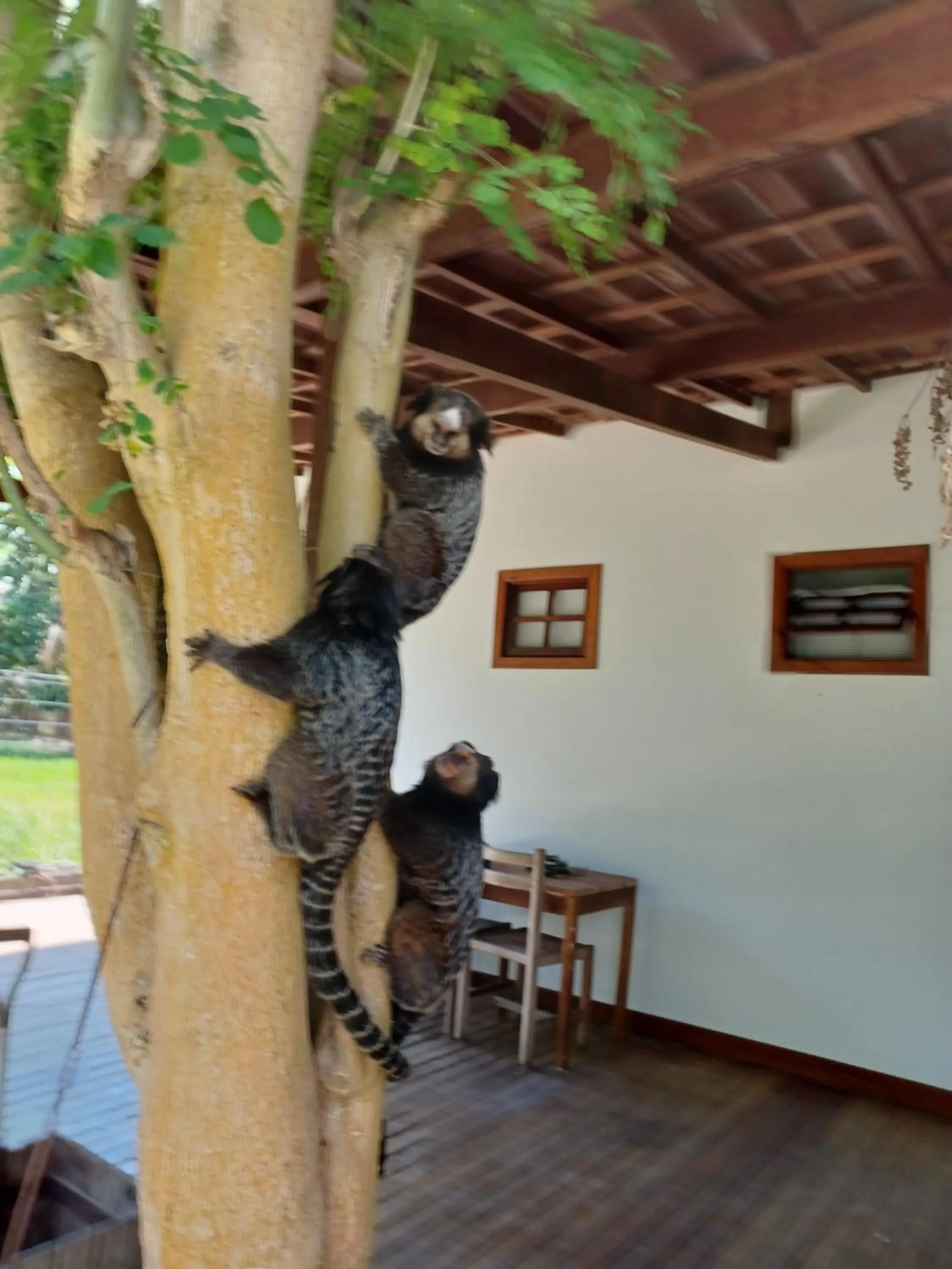 Manjuba Pousada - Taipu de Fora