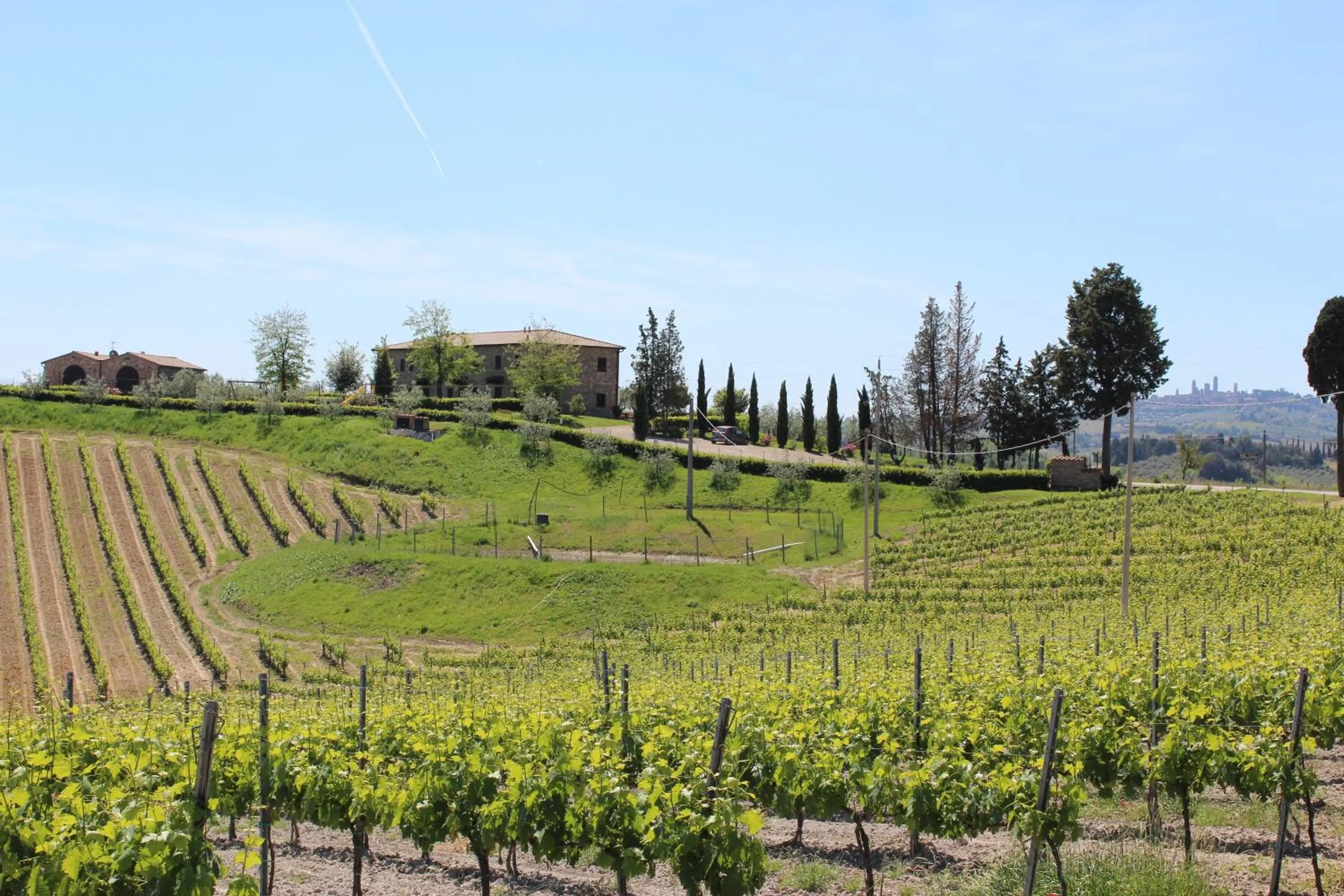 View (from property/room) in Agriturismo Macinatico