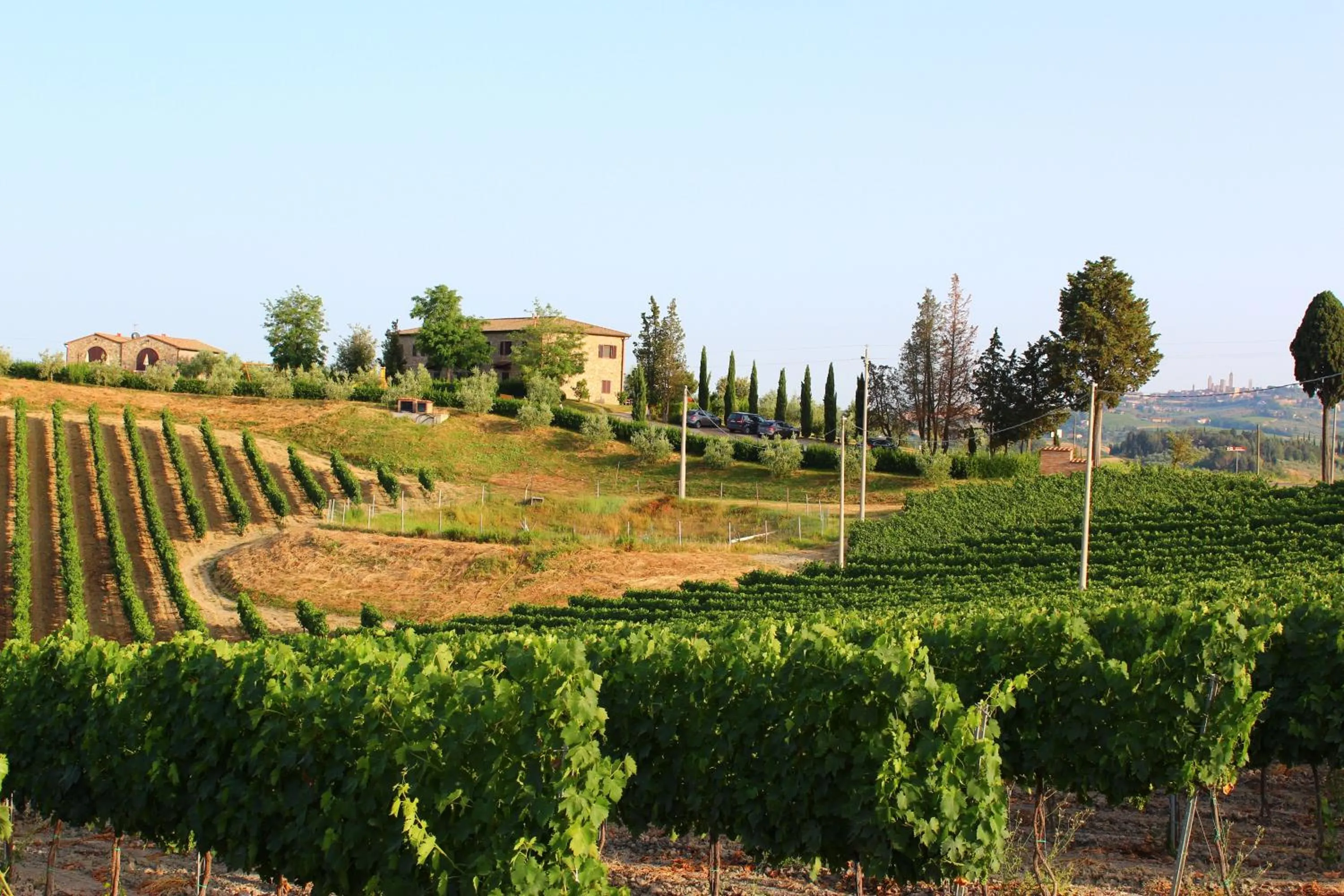 View (from property/room) in Agriturismo Macinatico