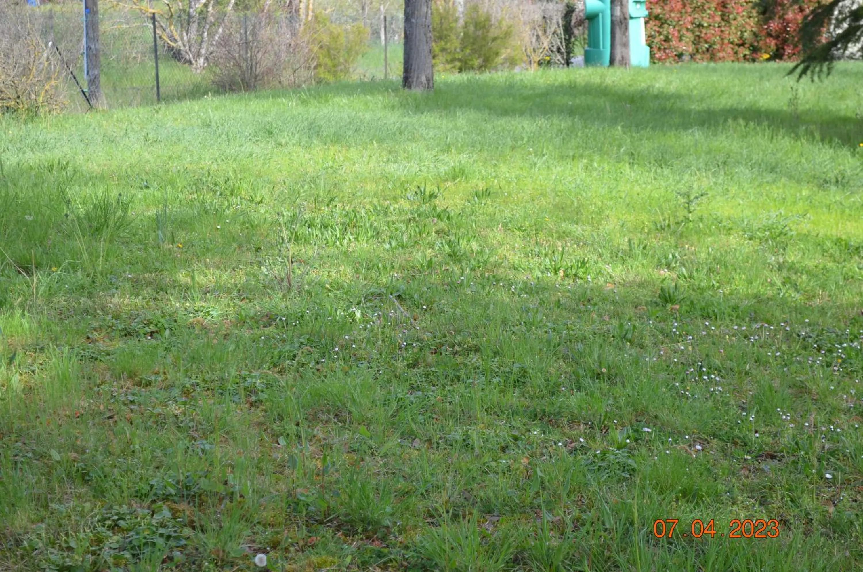 Garden view in Greet Hôtel Castres Saix