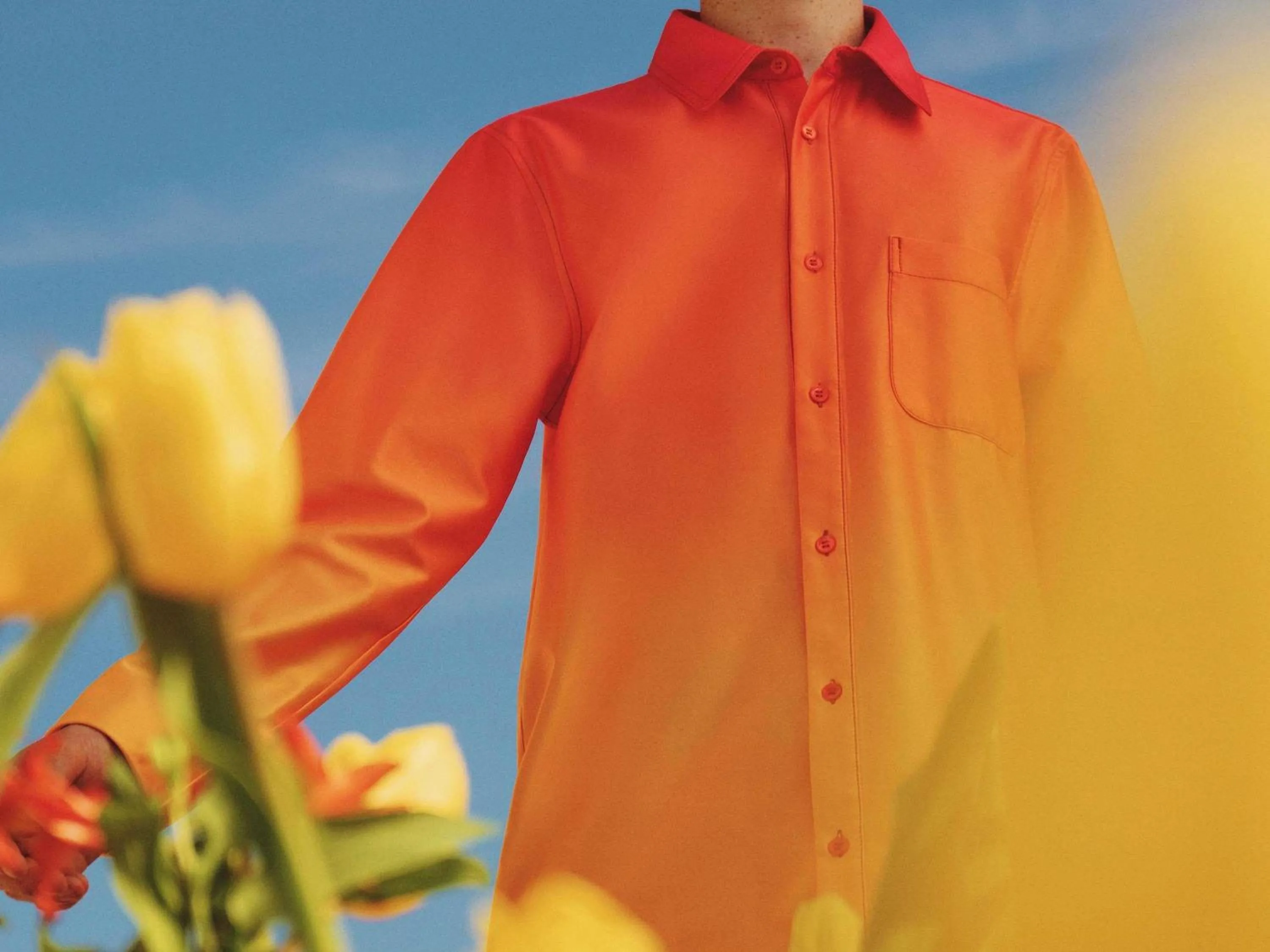 Other in Greet Hôtel Castres Saix