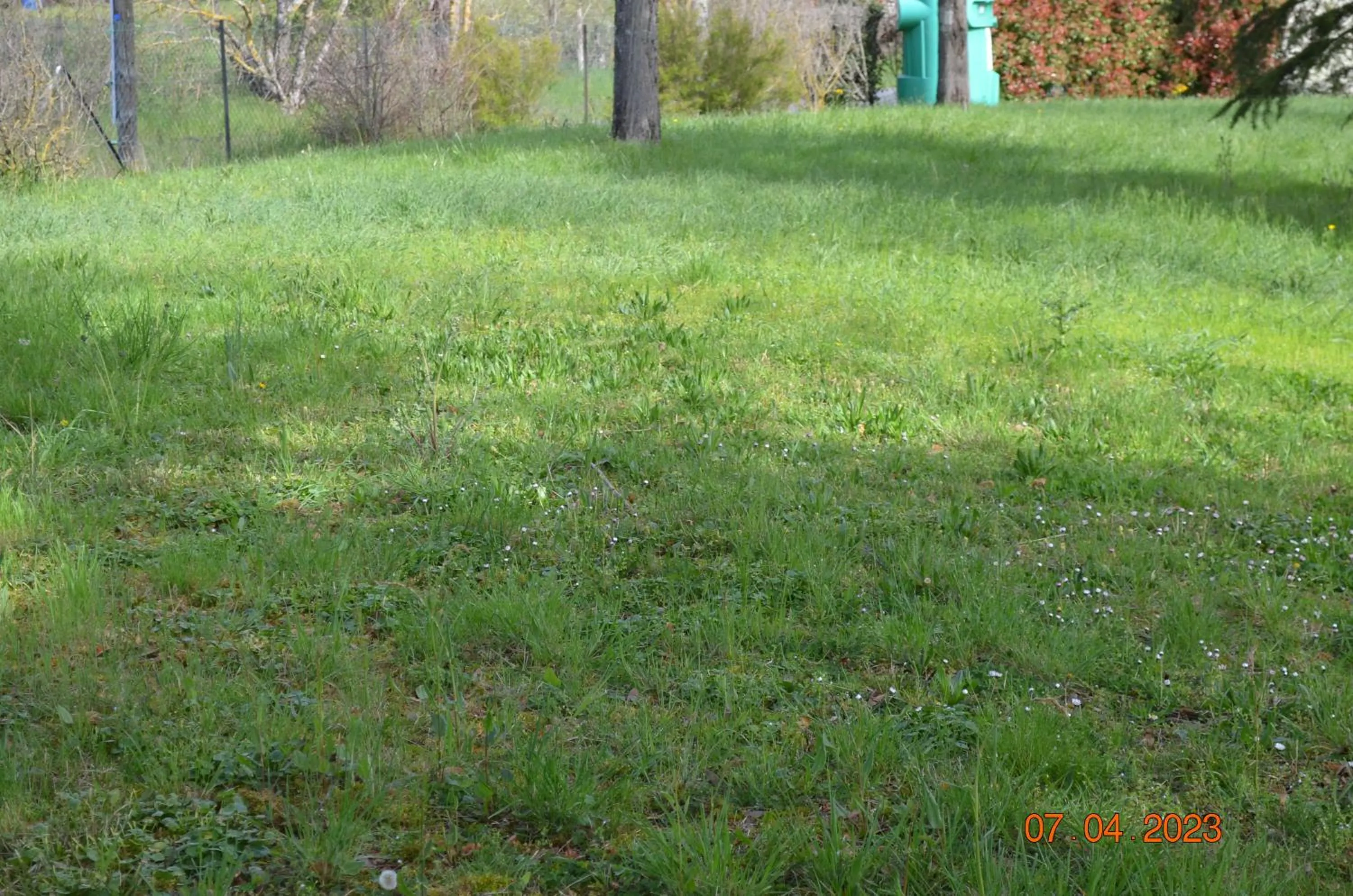 Garden in Greet Hôtel Castres Saix