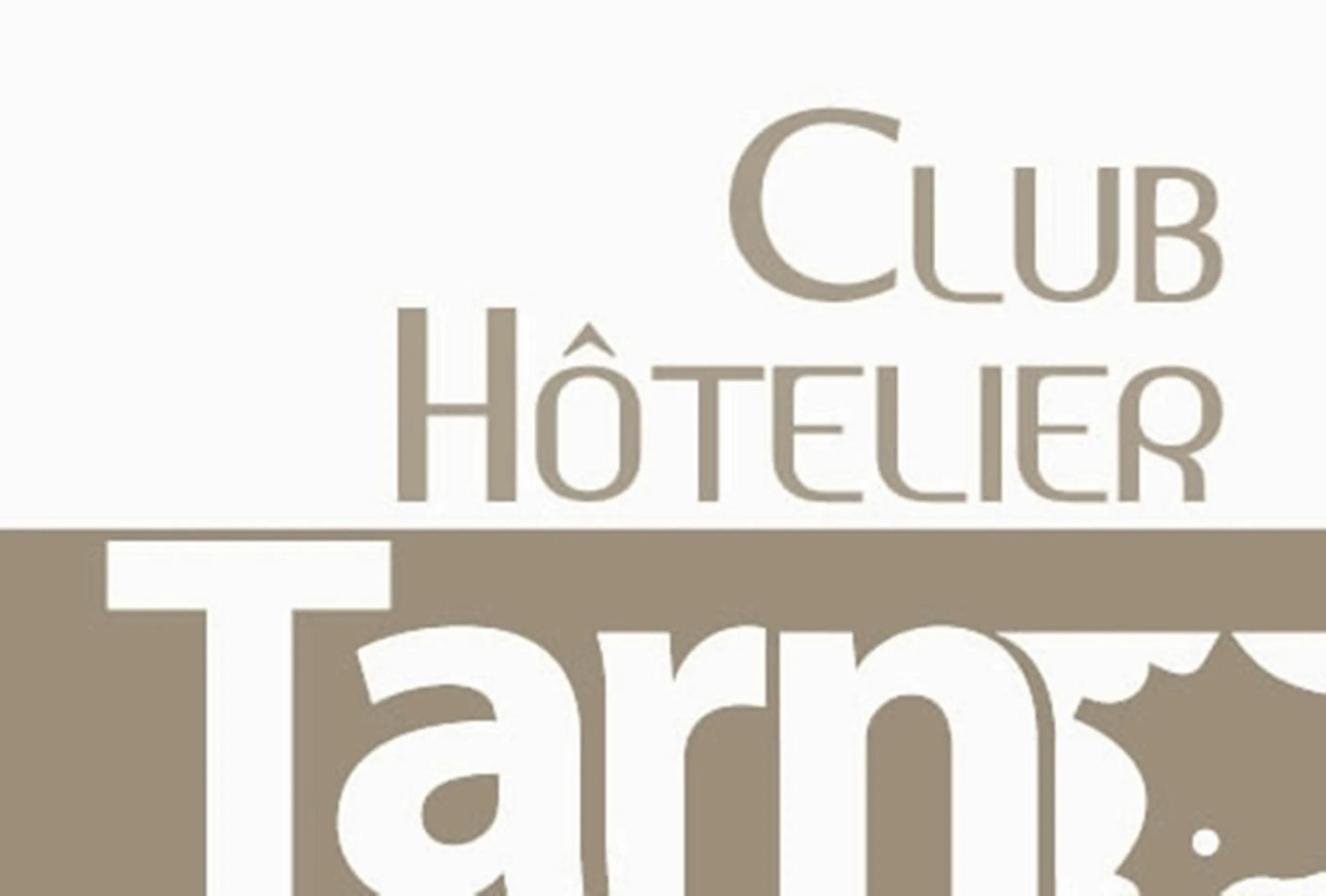 Decorative detail in Greet Hôtel Castres Saix