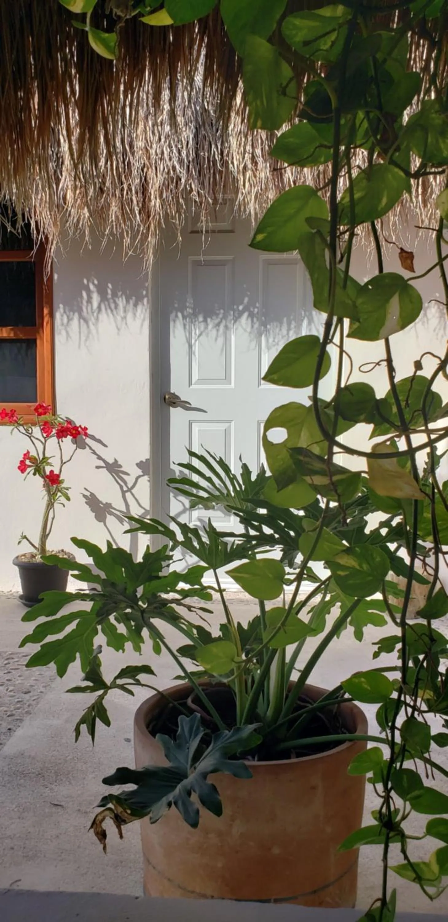 Facade/entrance in Poza Clara Sanctuary