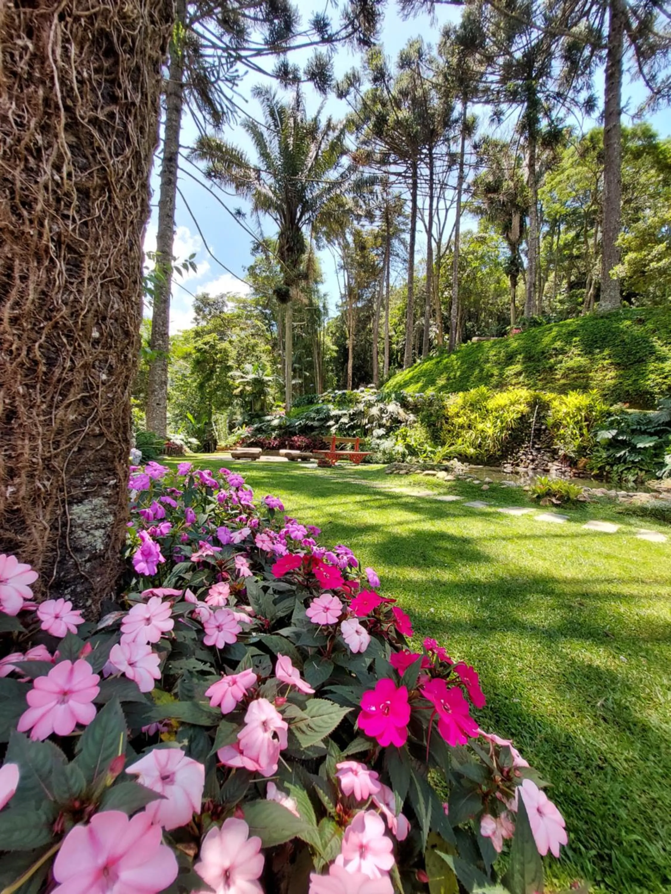 Property building in Casa no Céu