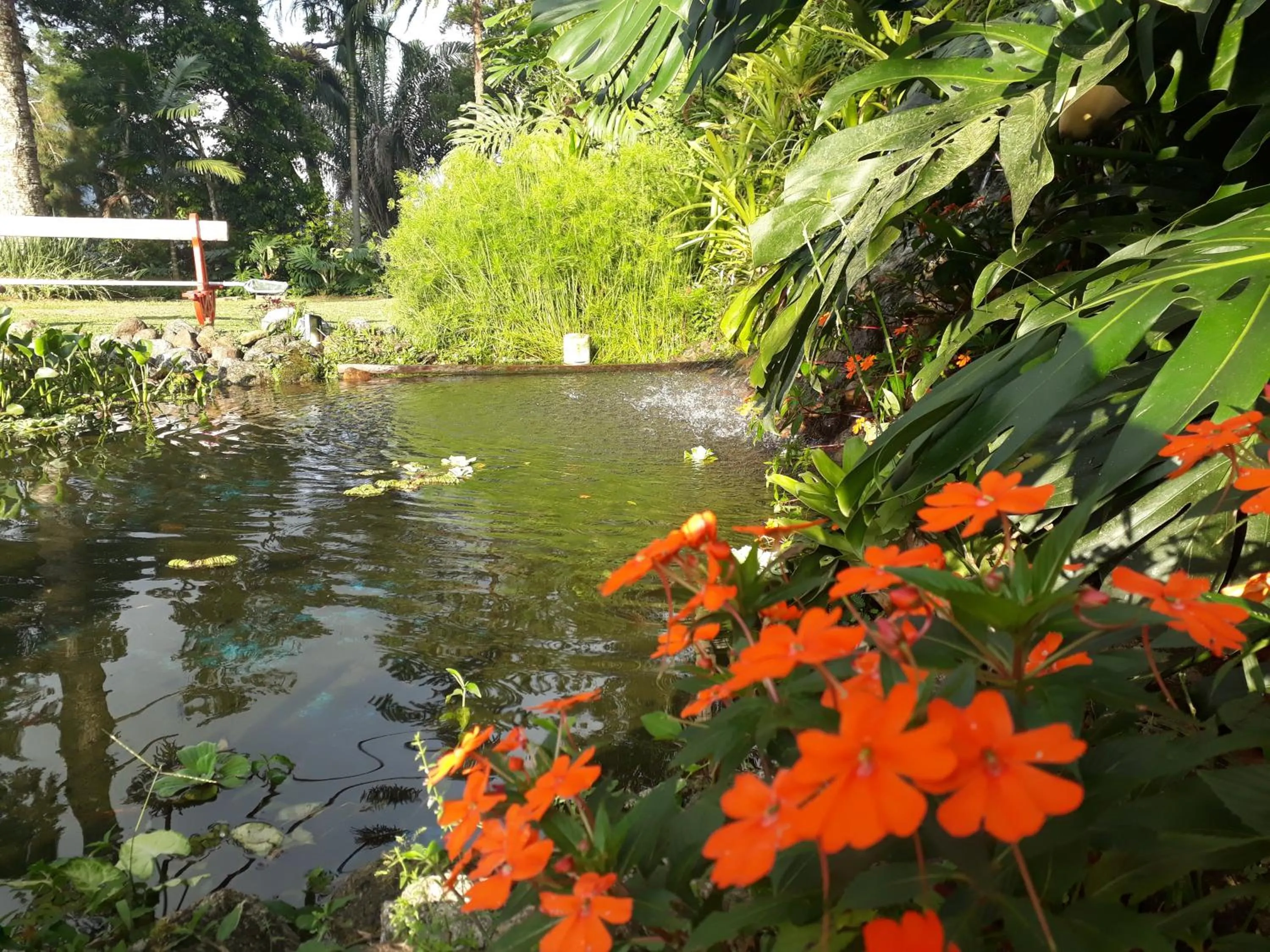 Property building in Casa no Céu