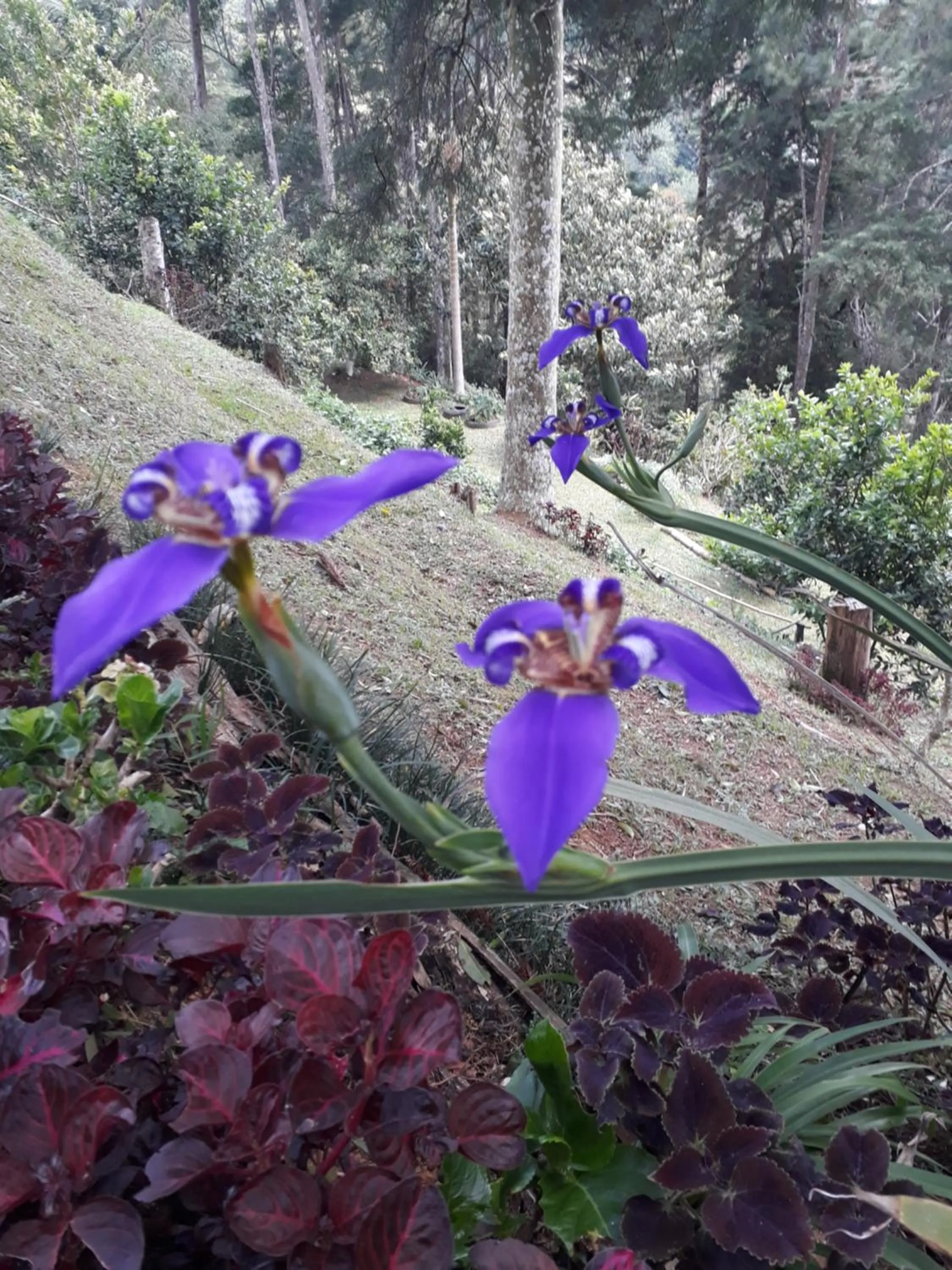 Property building in Casa no Céu