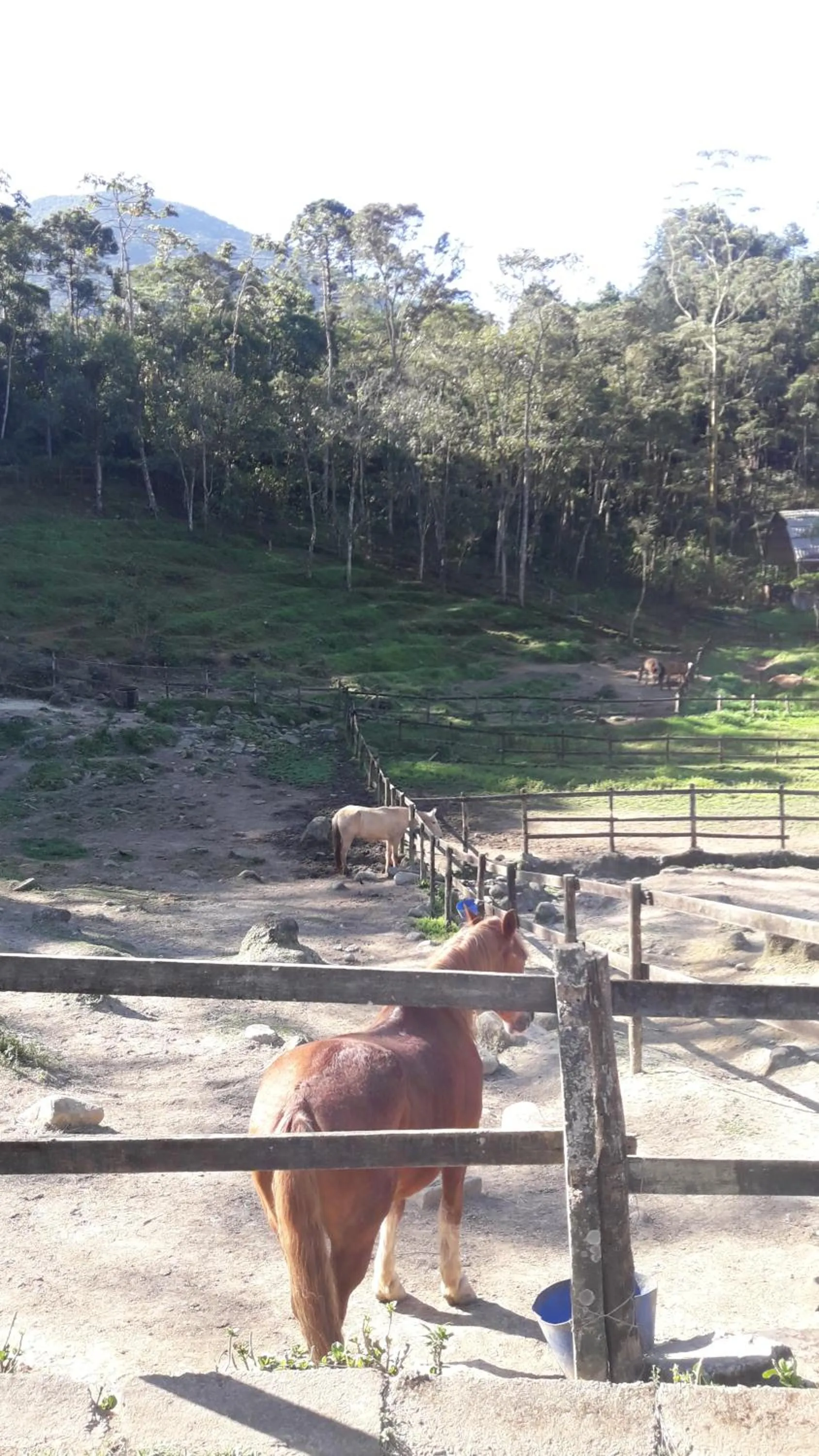 Other in Casa no Céu