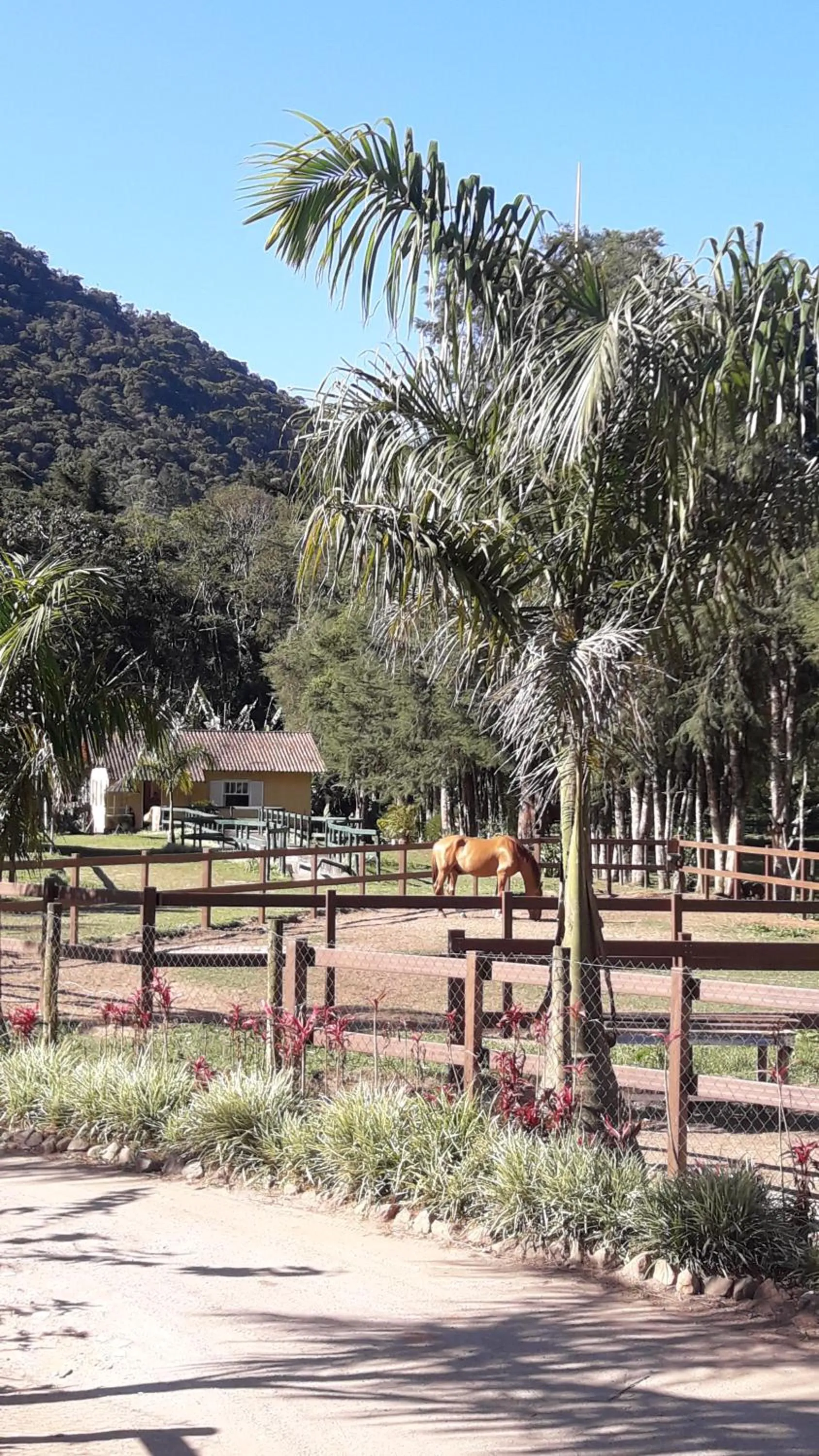 Other in Casa no Céu