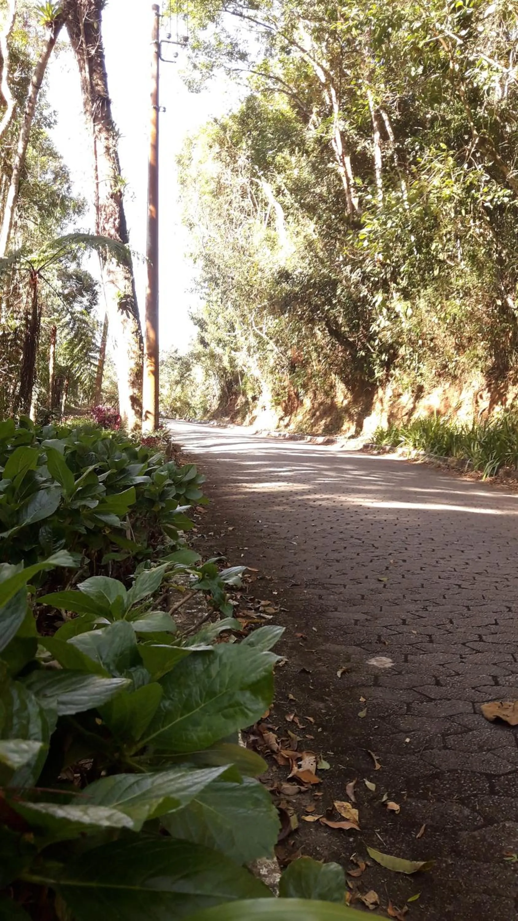 Other in Casa no Céu