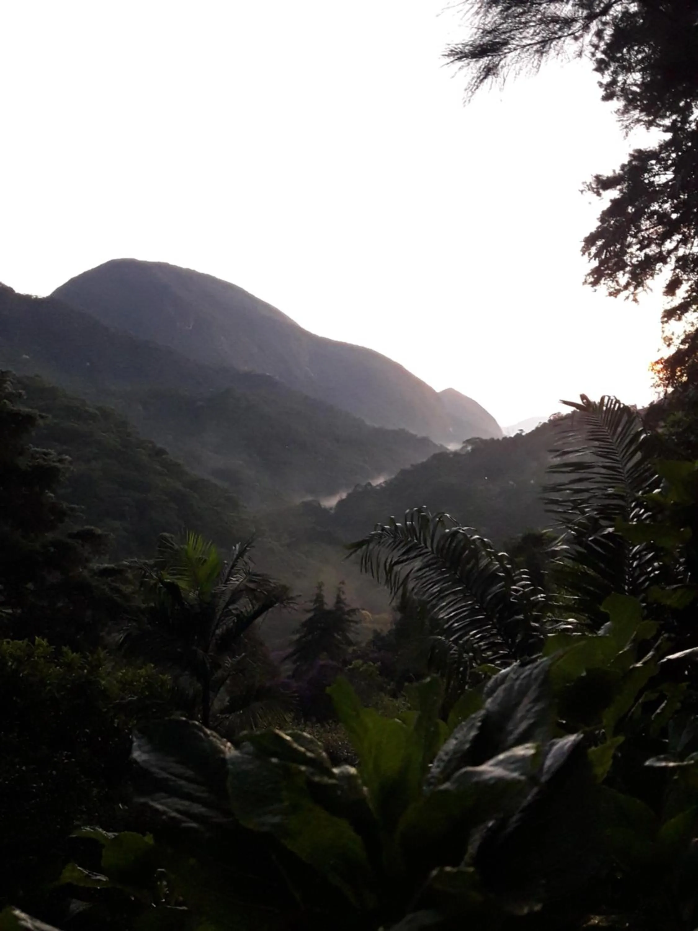 Mountain view in Casa no Céu