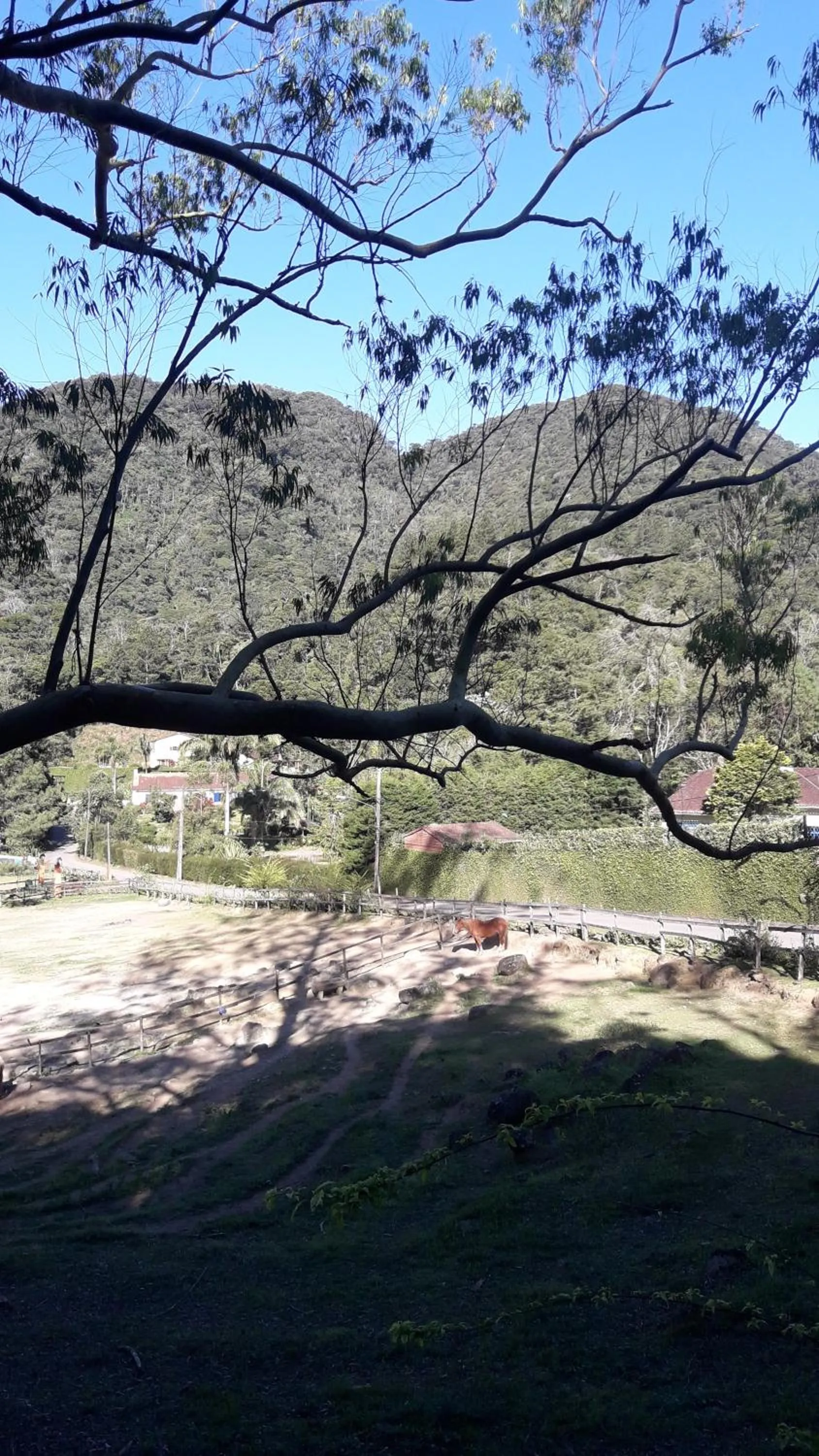 Other in Casa no Céu