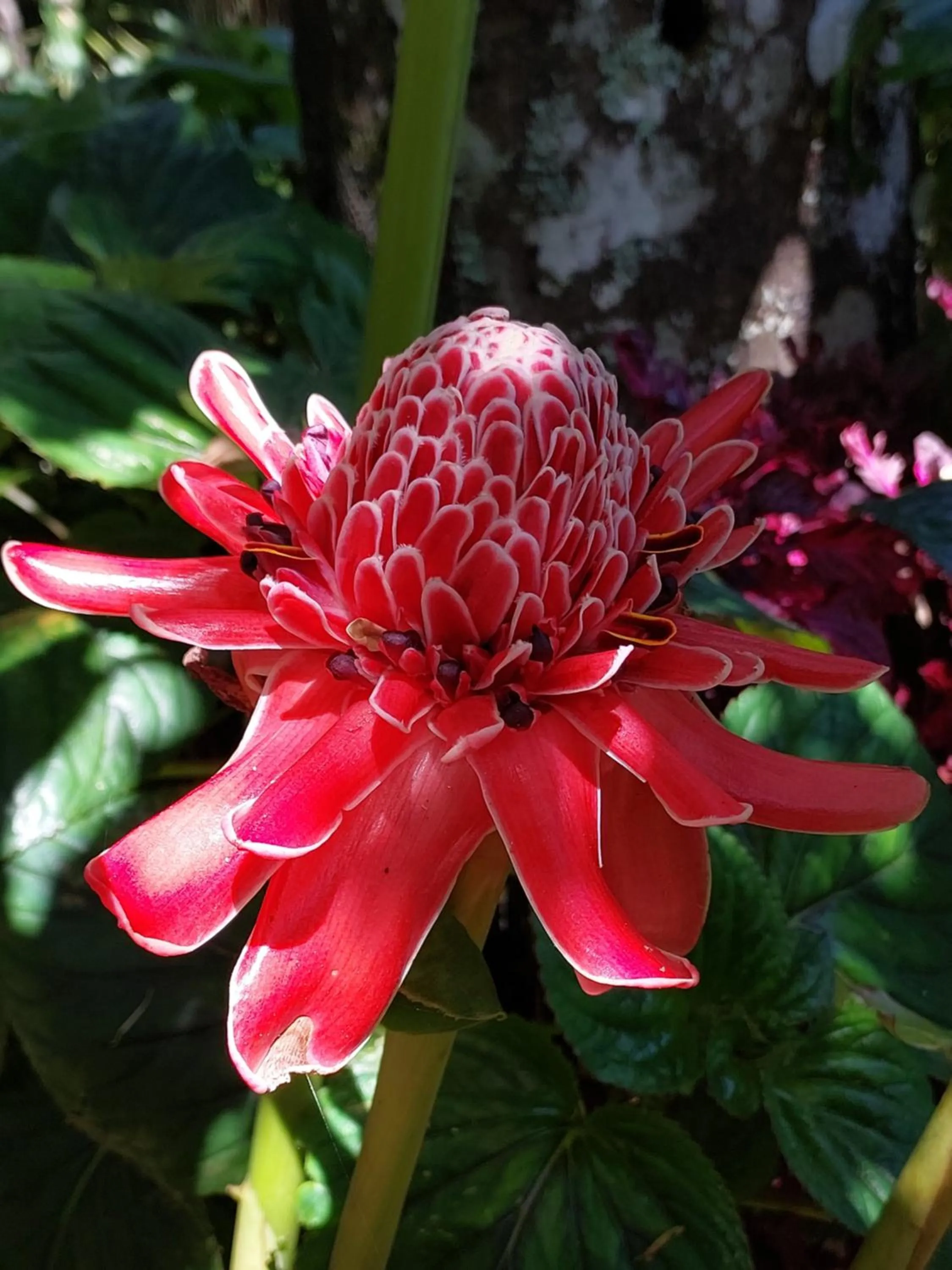 Property building in Casa no Céu
